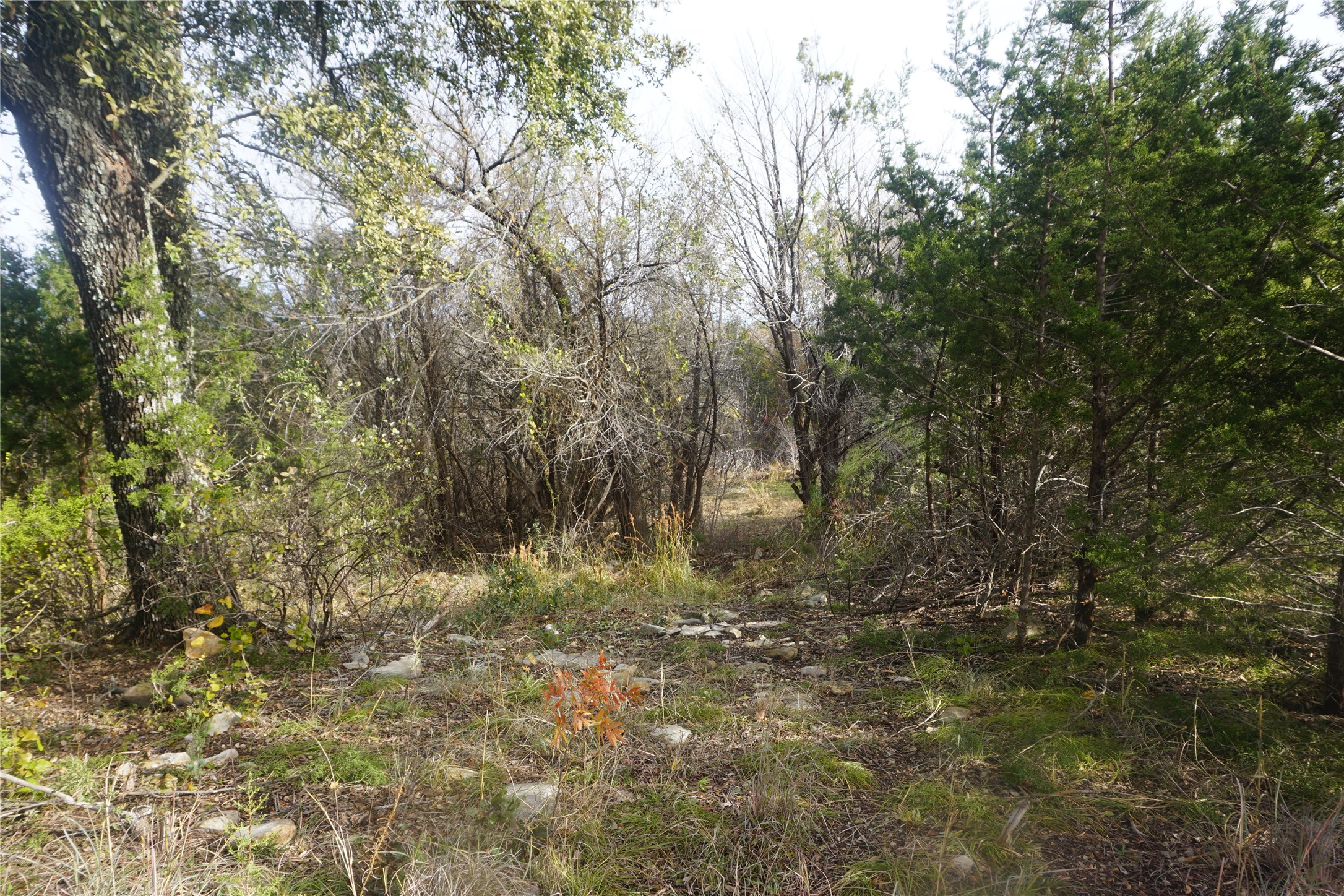 Lot 521 Canyon Wren Possum Kingdom Lake TX 76449