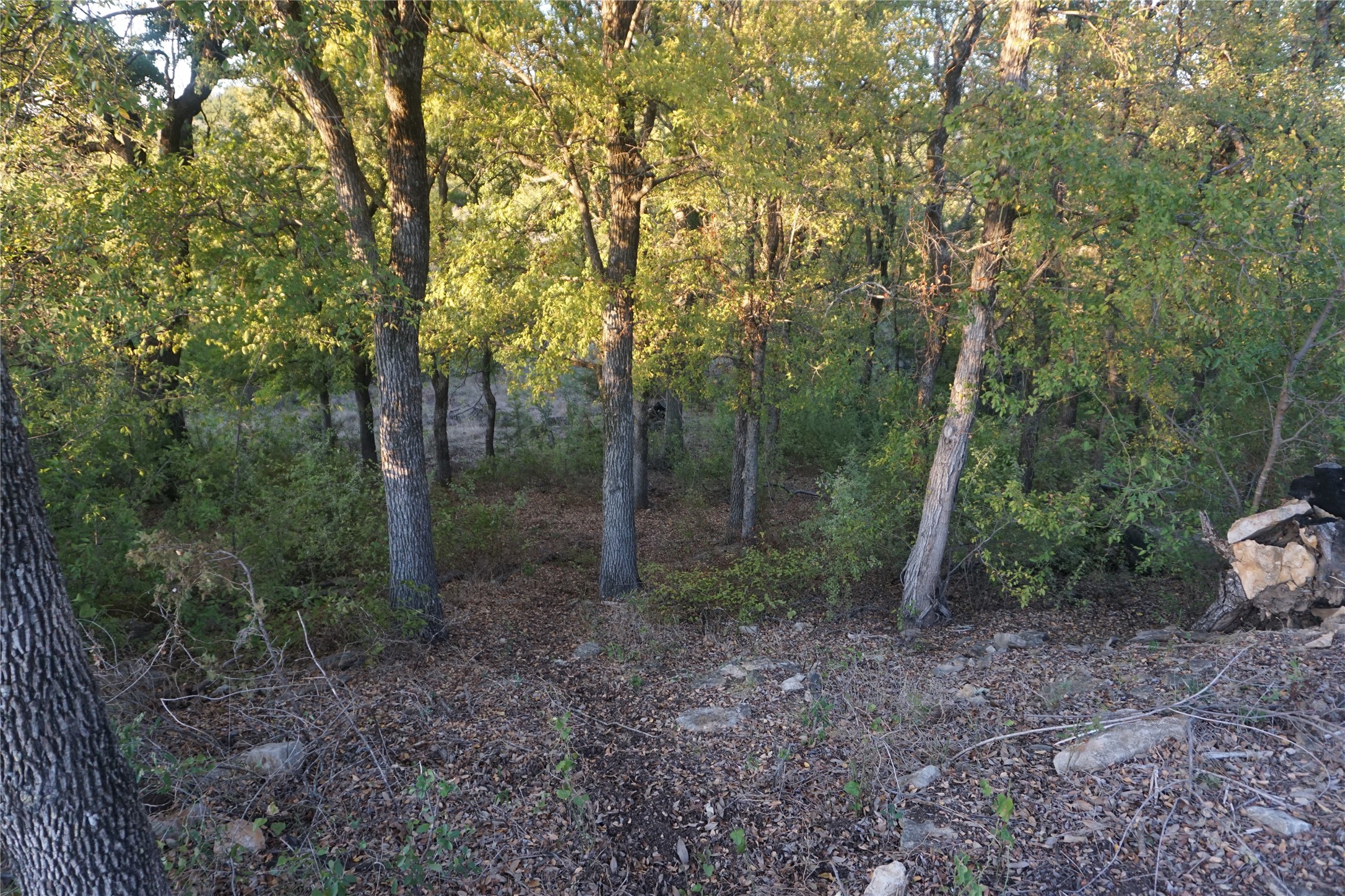 Lot 521 Canyon Wren Possum Kingdom Lake TX 76449
