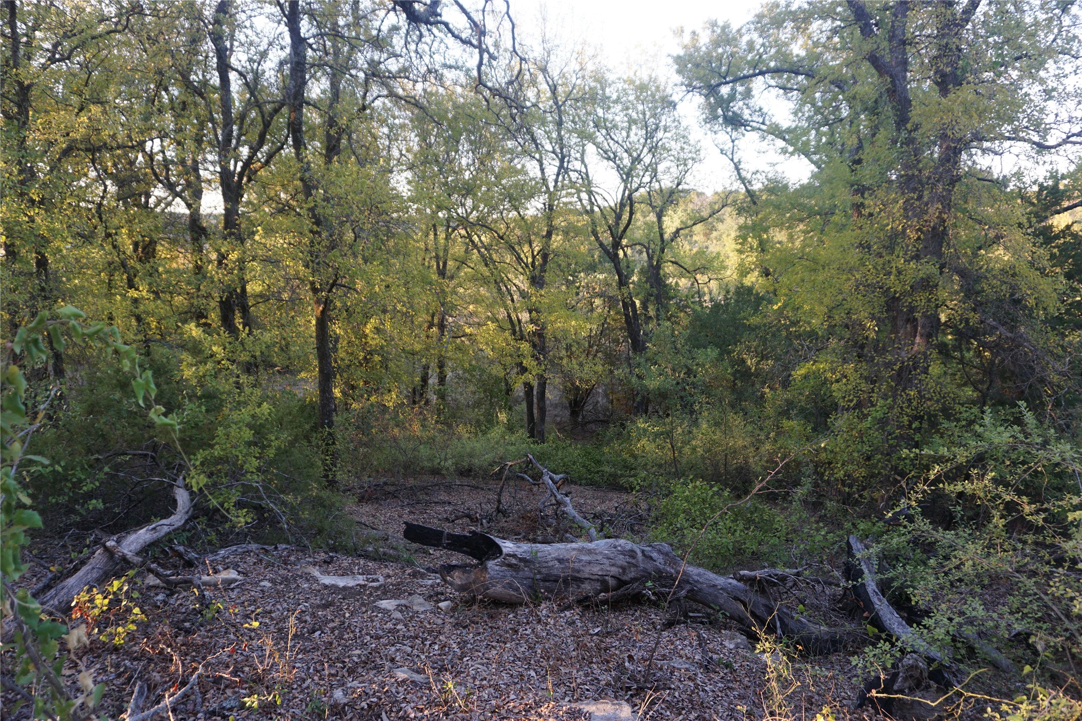 Lot 521 Canyon Wren Possum Kingdom Lake TX 76449