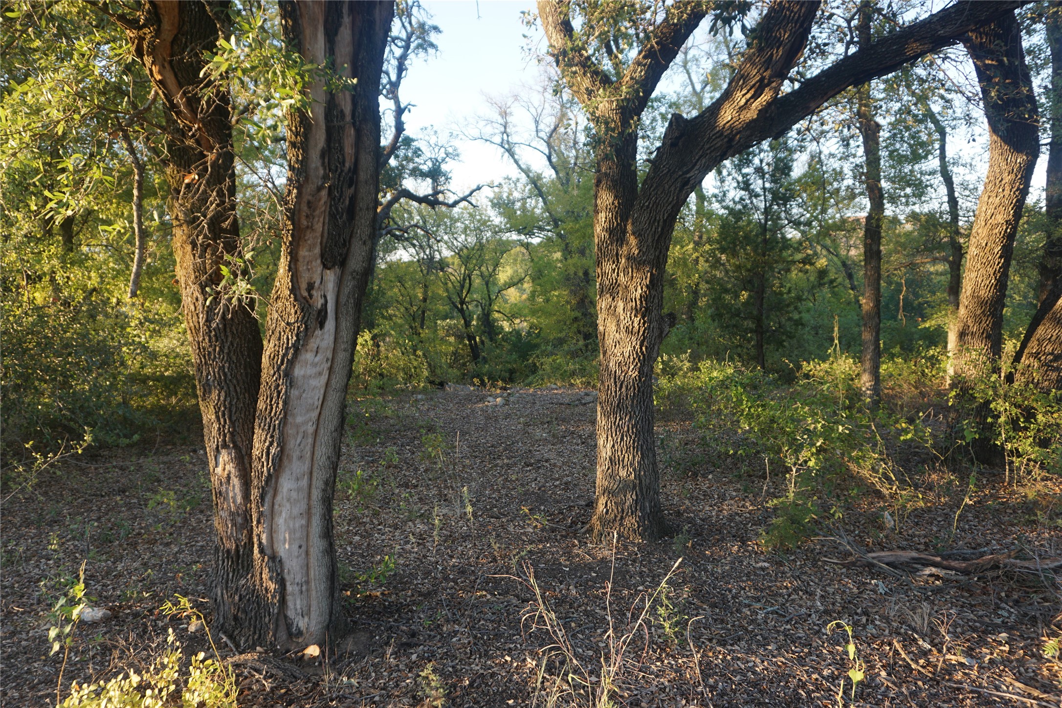 Lot 521 Canyon Wren Possum Kingdom Lake TX 76449