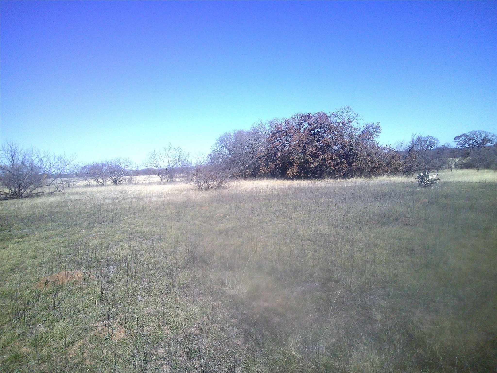 Tract 1 Cr 1750 Chico TX 76431