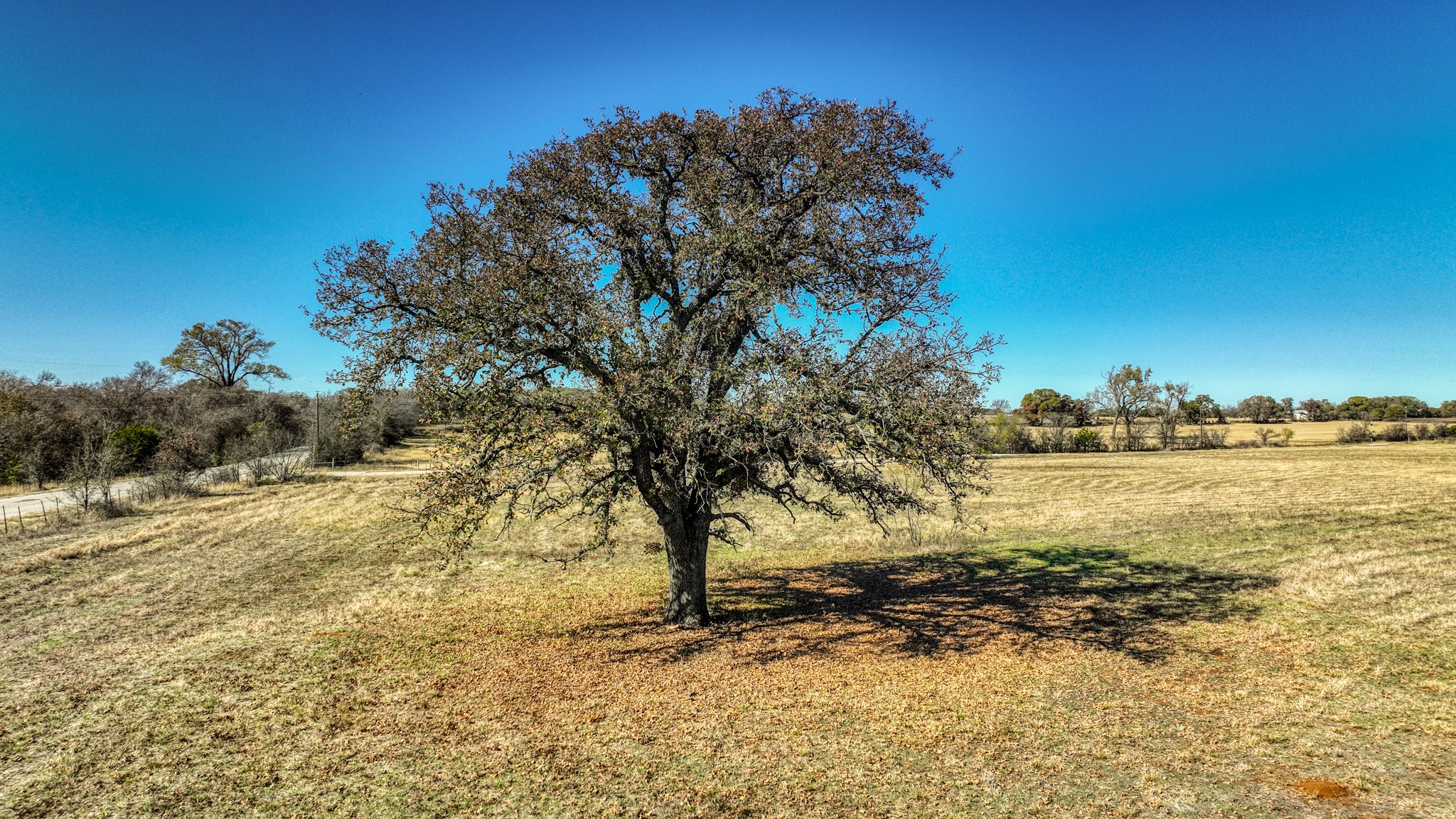 3733 Fm-52 Graford TX 76449