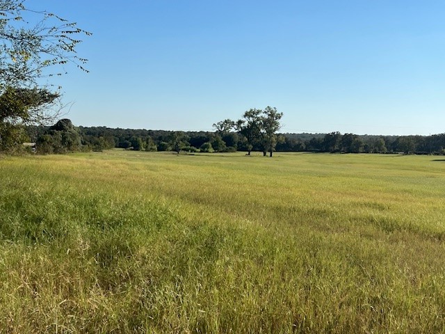 3733 Fm-52 Graford TX 76449