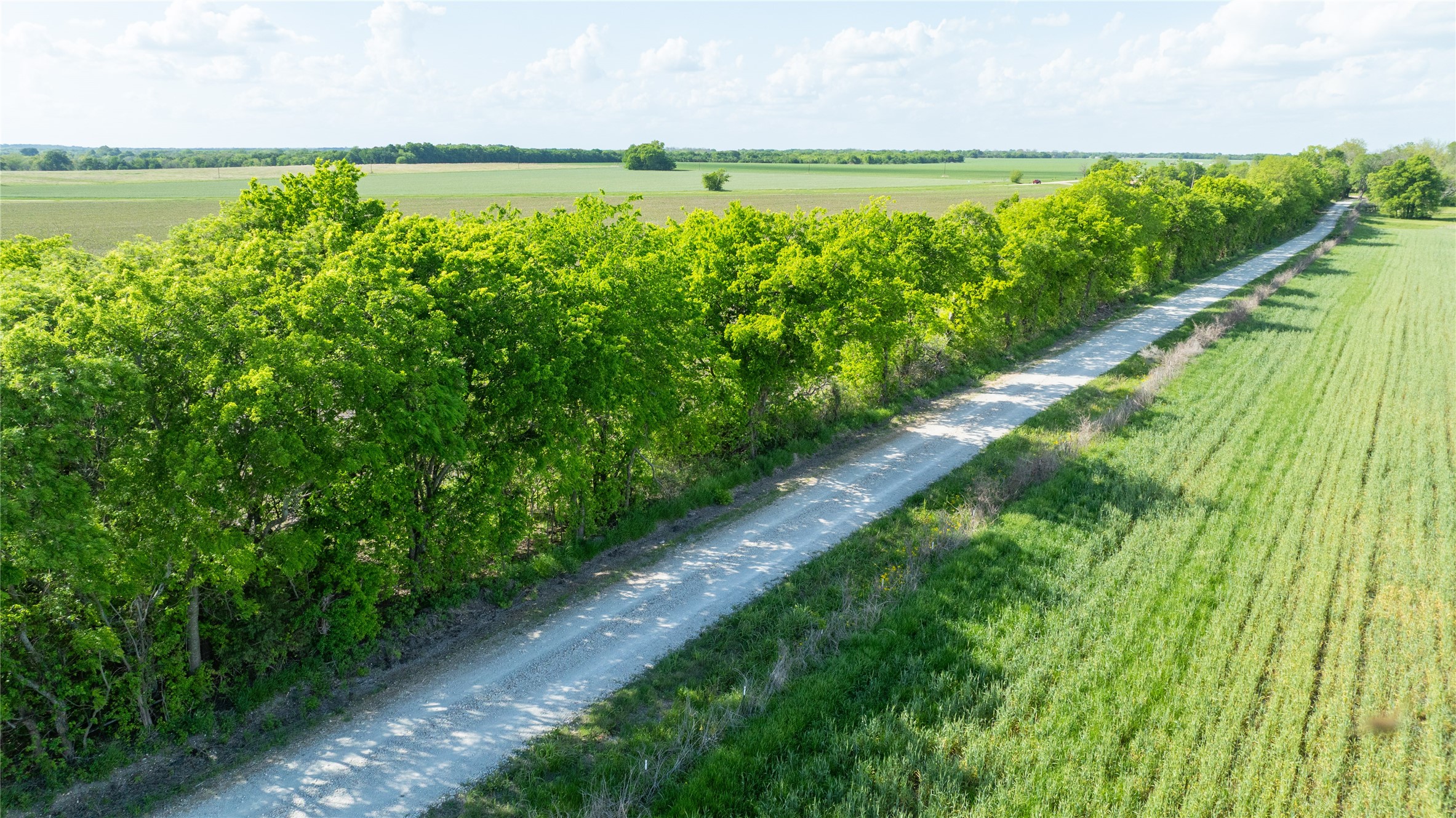 Tbd Lot 2 Cr 26150 Roxton TX 75477