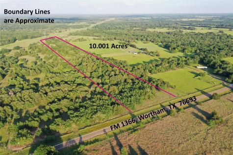 Tract 13 Fm 1366 Wortham TX 76693