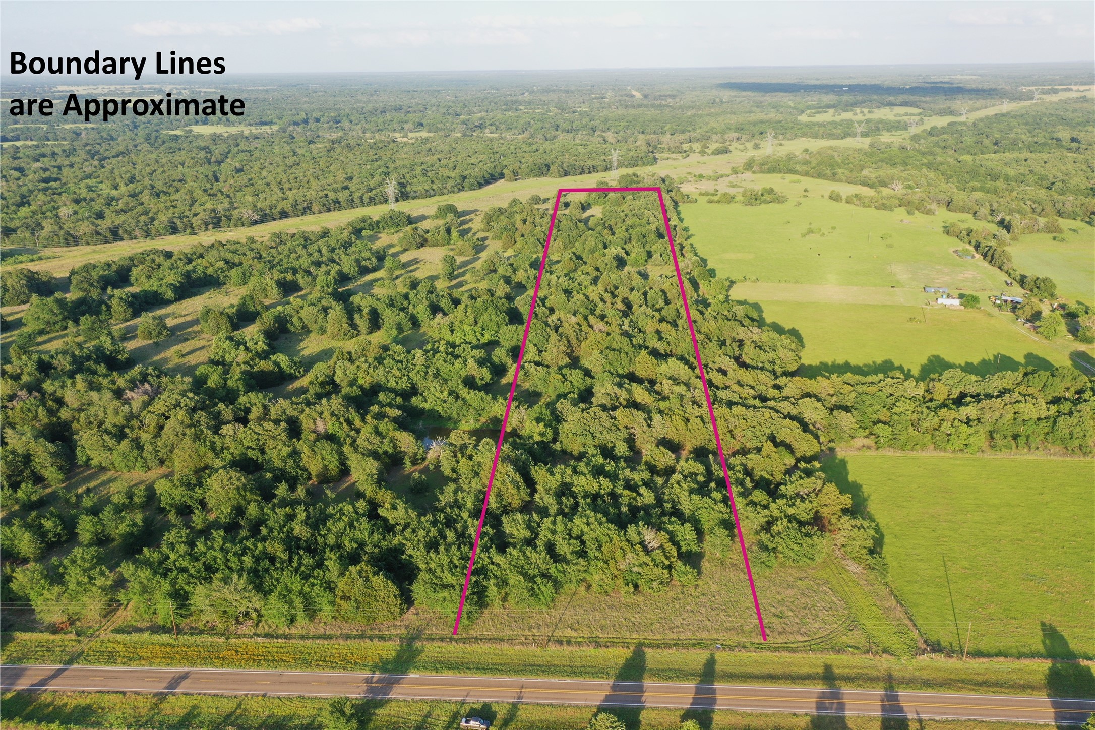 Tract 13 Fm 1366 Wortham TX 76693