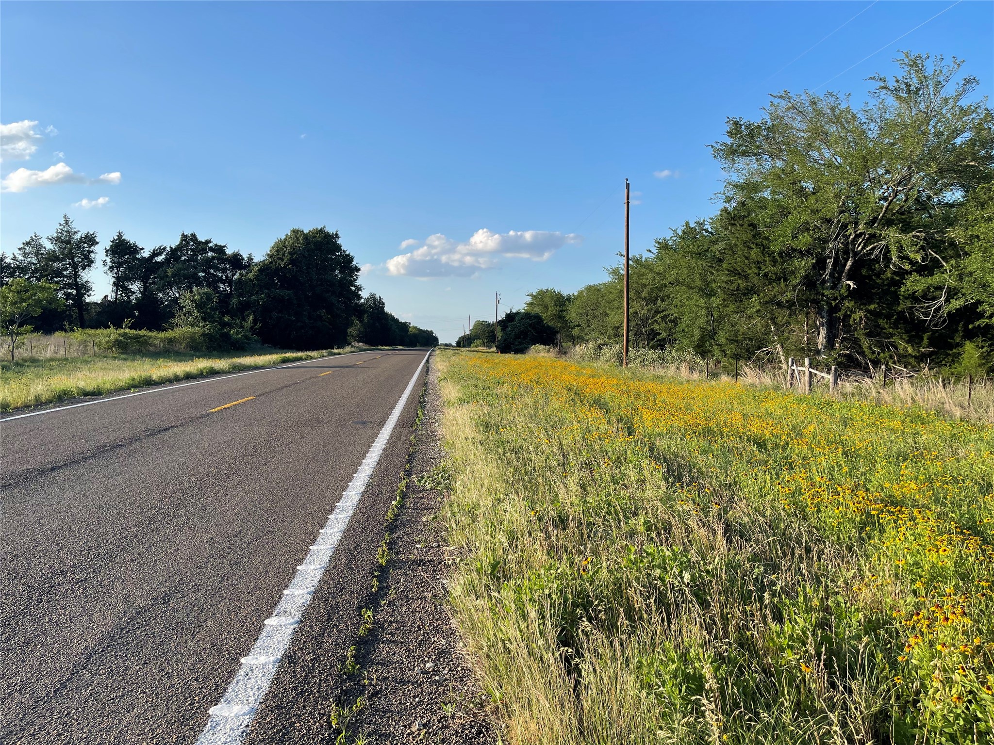 Tract 13 Fm 1366 Wortham TX 76693