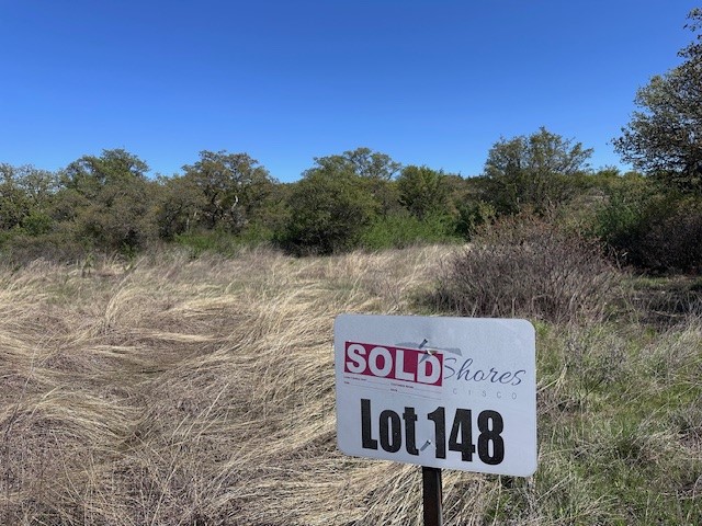 Lot 147 & 148 Hidden Shores Cisco TX 76437