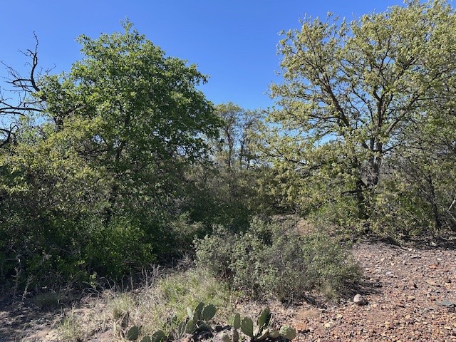 Lot 147 & 148 Hidden Shores Cisco TX 76437