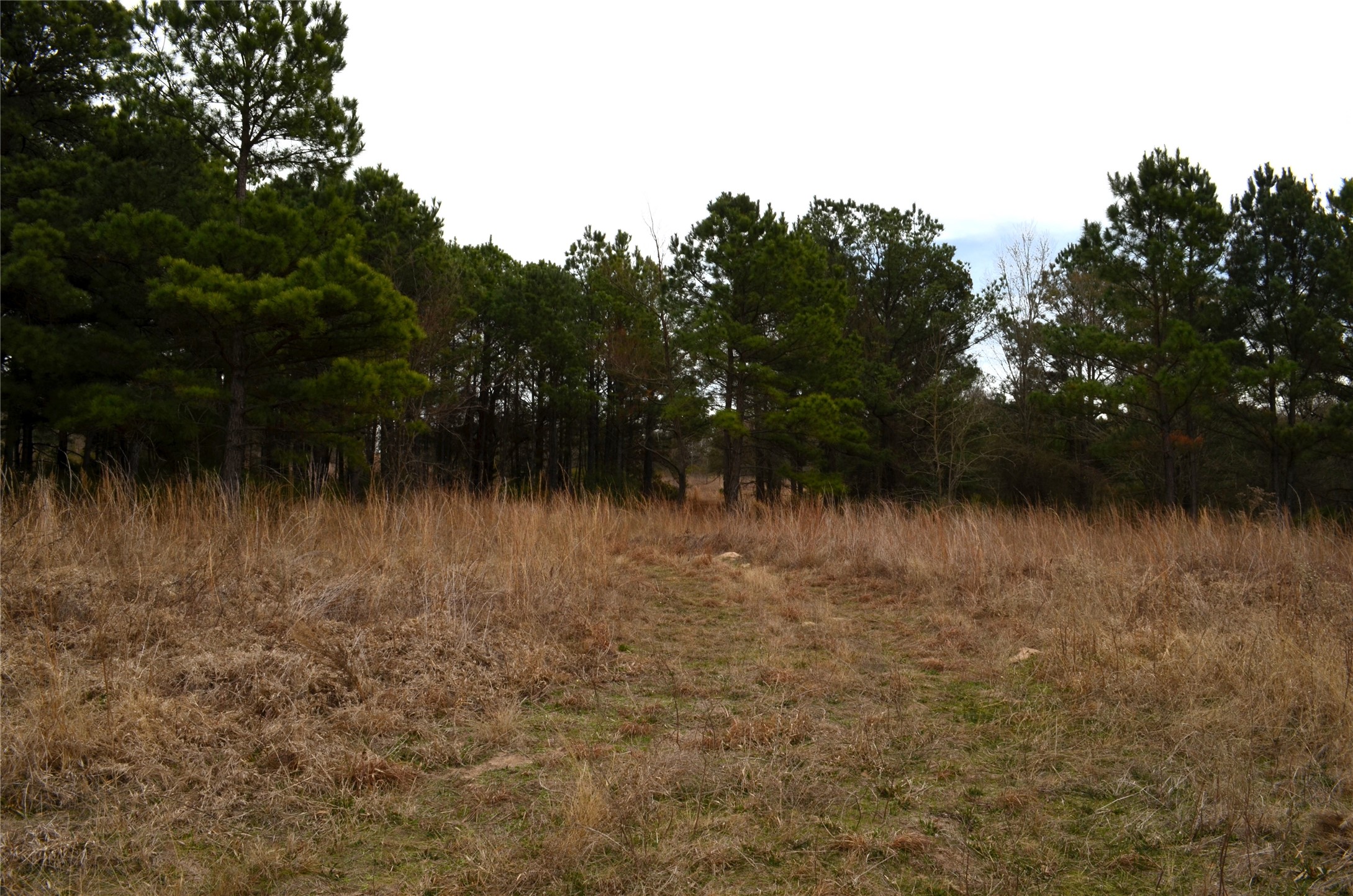 3843 Fm 1256 Eustace TX 75124