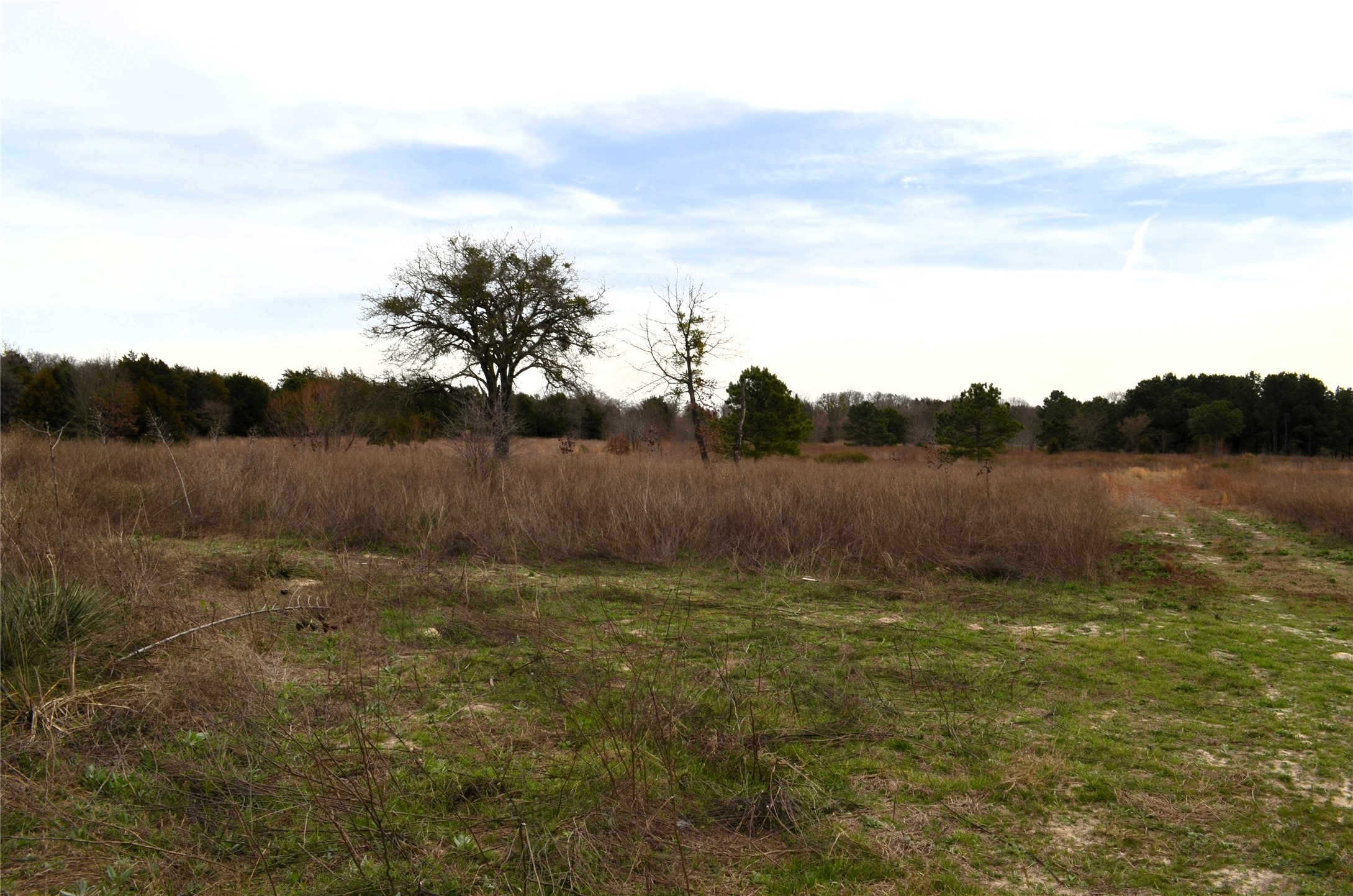 3843 Fm 1256 Eustace TX 75124