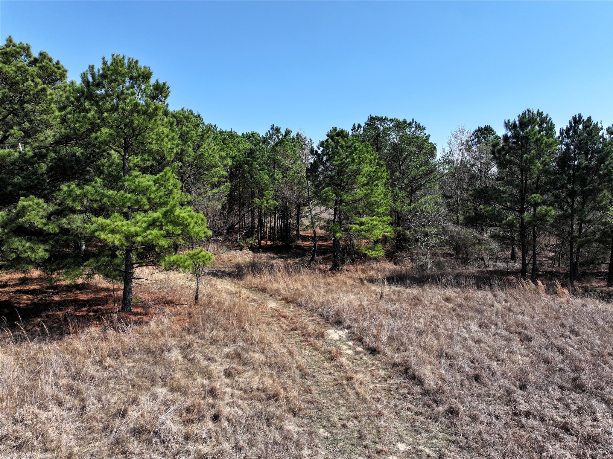3843 Fm 1256 Eustace TX 75124