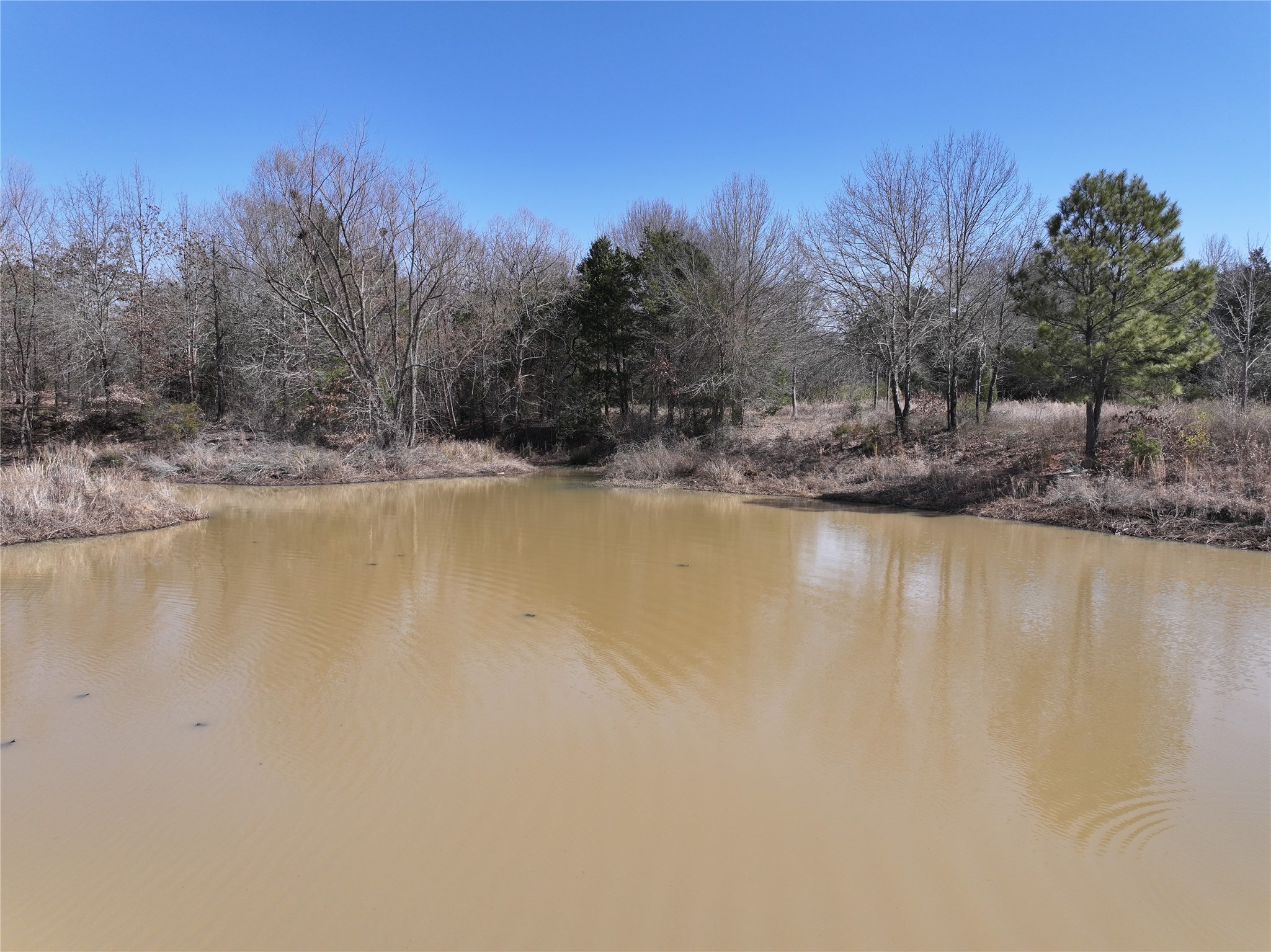 3843 Fm 1256 Eustace TX 75124