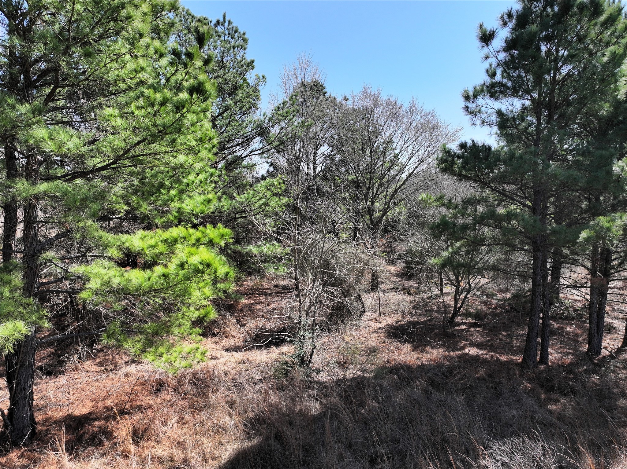 3843 Fm 1256 Eustace TX 75124