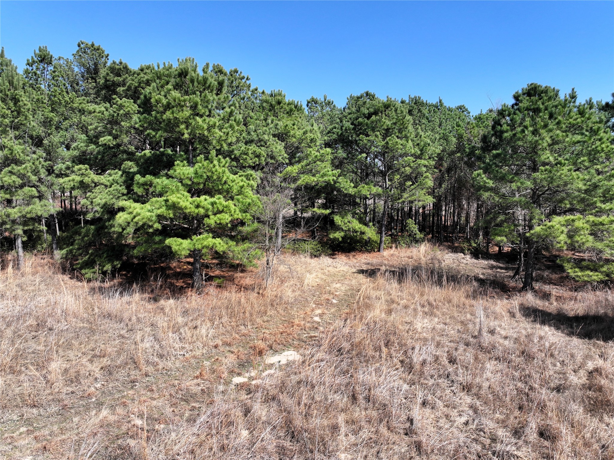 3843 Fm 1256 Eustace TX 75124