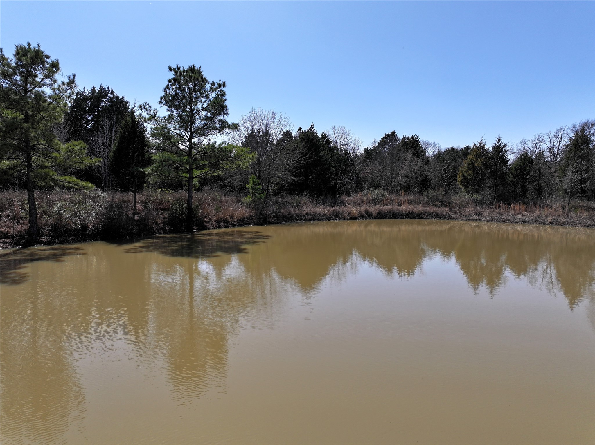 3843 Fm 1256 Eustace TX 75124