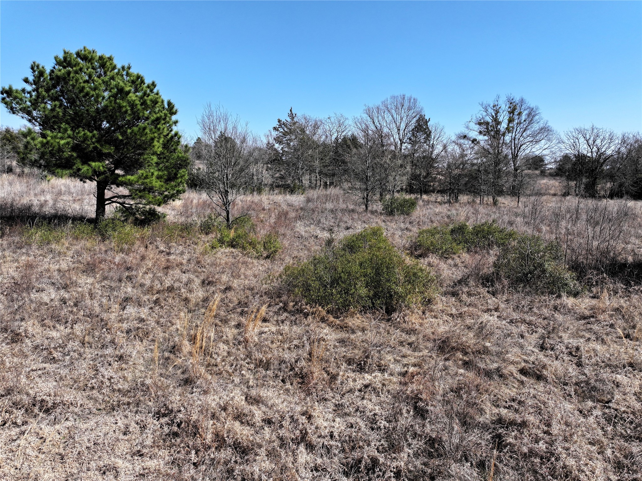 3843 Fm 1256 Eustace TX 75124