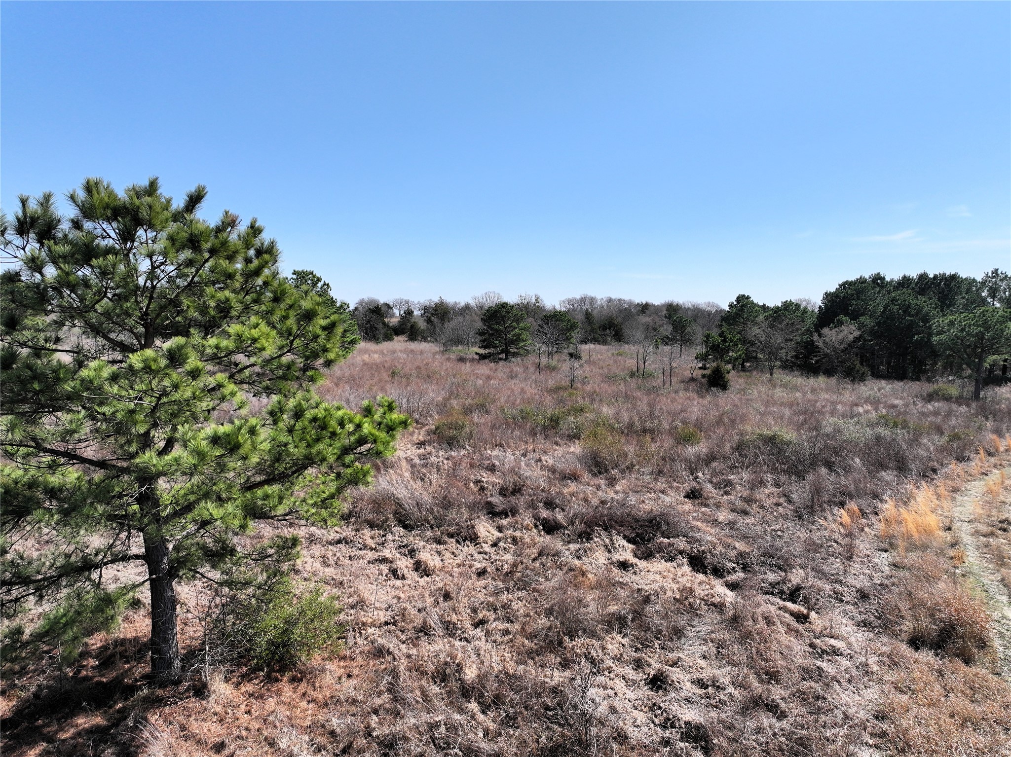 3843 Fm 1256 Eustace TX 75124