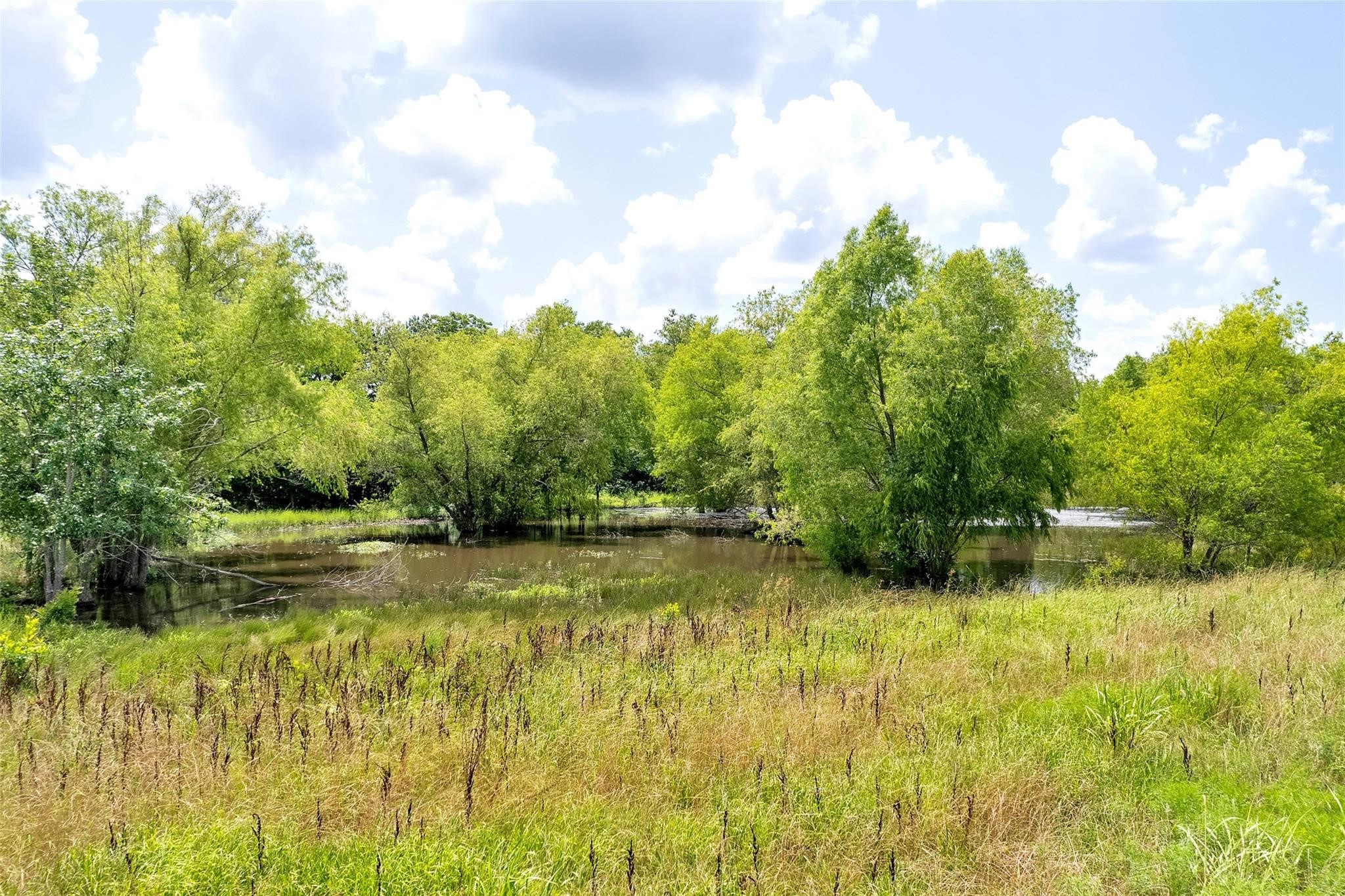Tbd Cr 3735 Wolfe City TX 75496