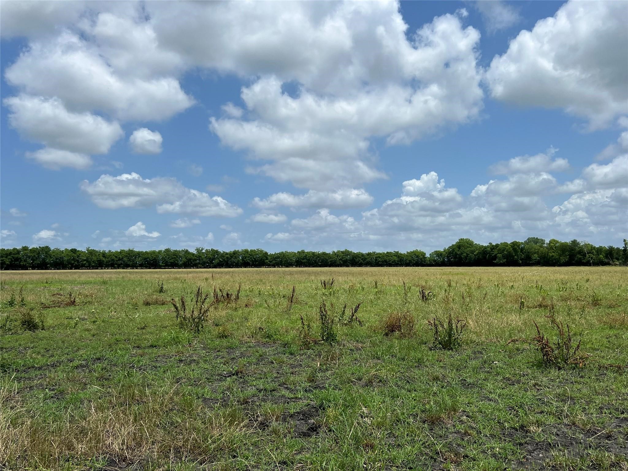 Tbd Cr 3735 Wolfe City TX 75496