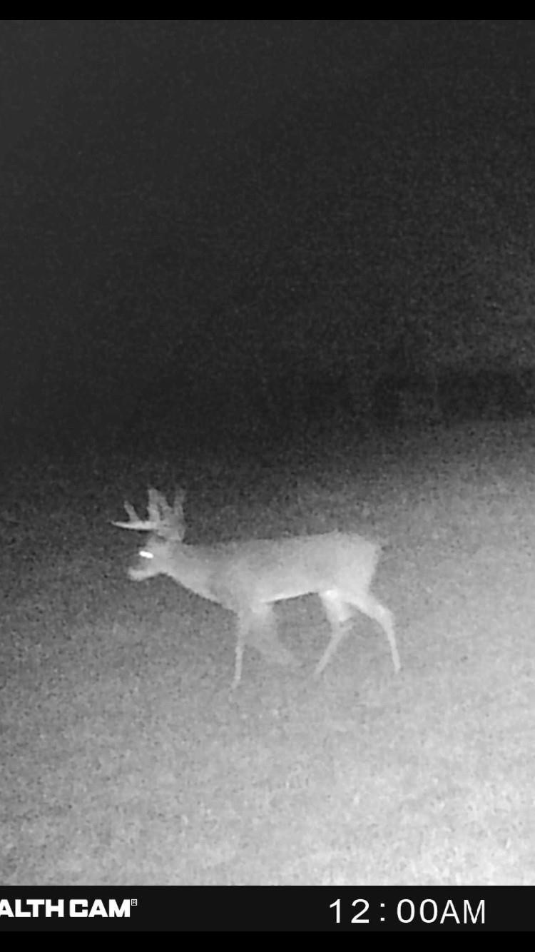 Tbd Cr 3735 Wolfe City TX 75496