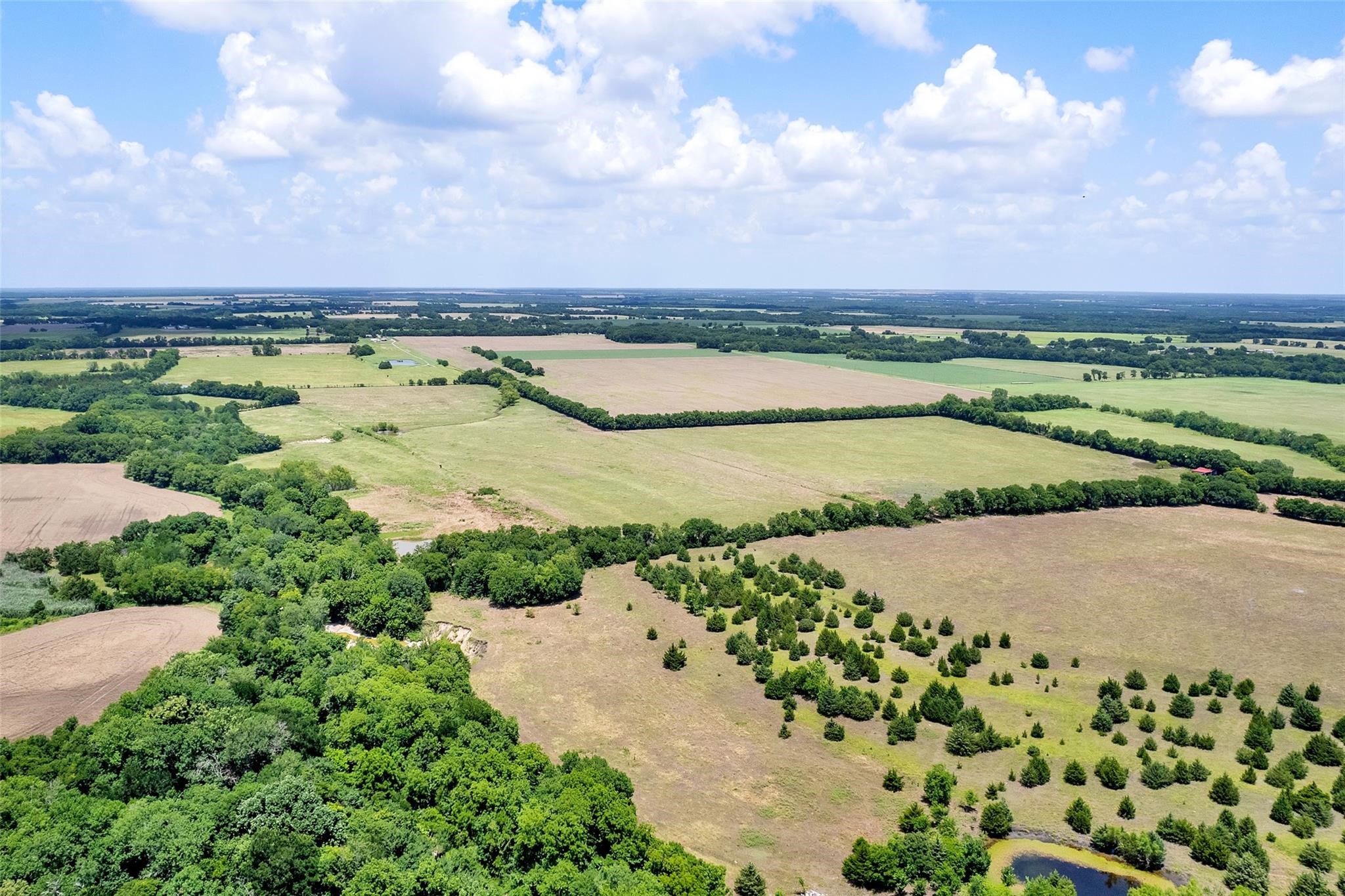 Tbd Cr 3735 Wolfe City TX 75496