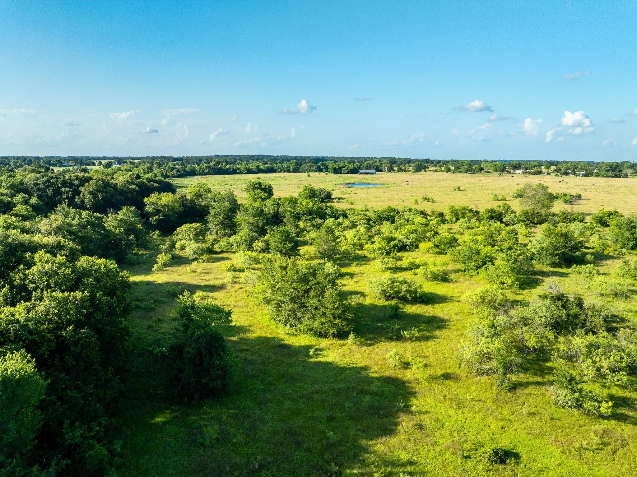 Na Malone Midway TX 75852