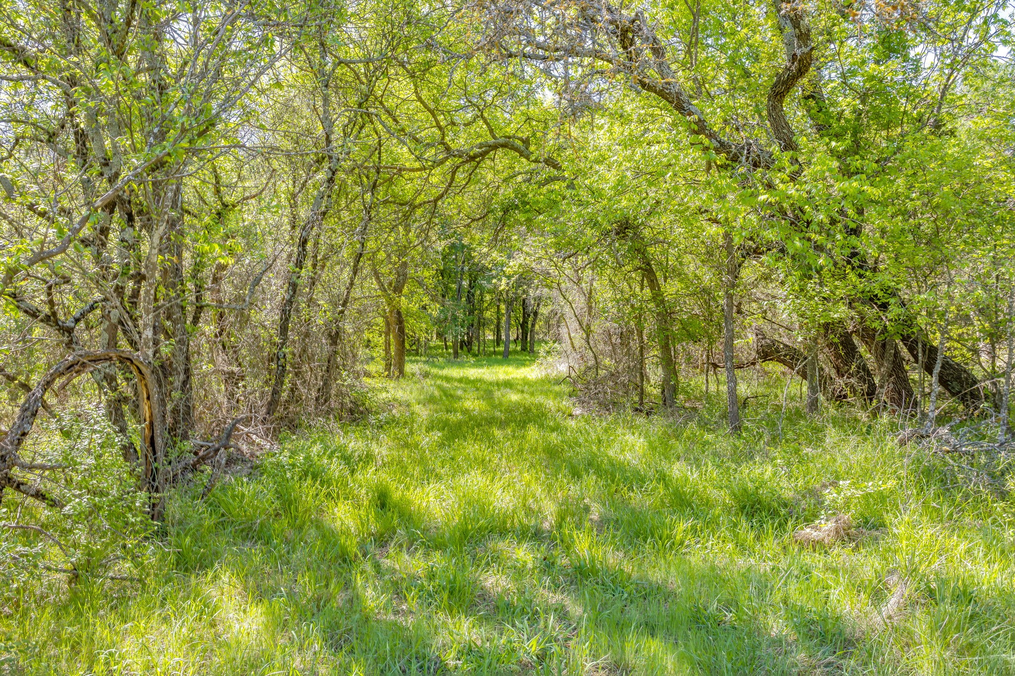 Tbd Teague Road Jacksboro TX 76458