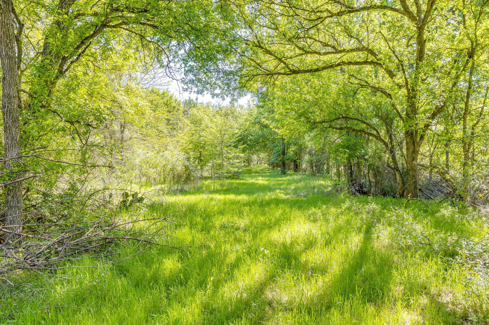Tbd Teague Road Jacksboro TX 76458