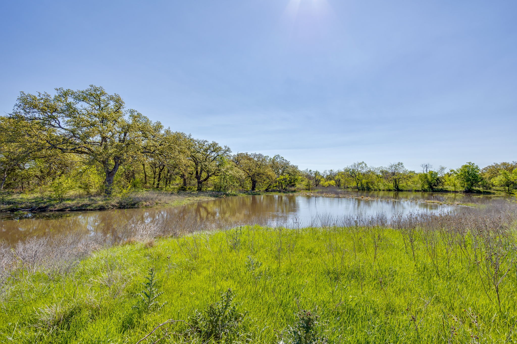 Tbd Teague Road Jacksboro TX 76458