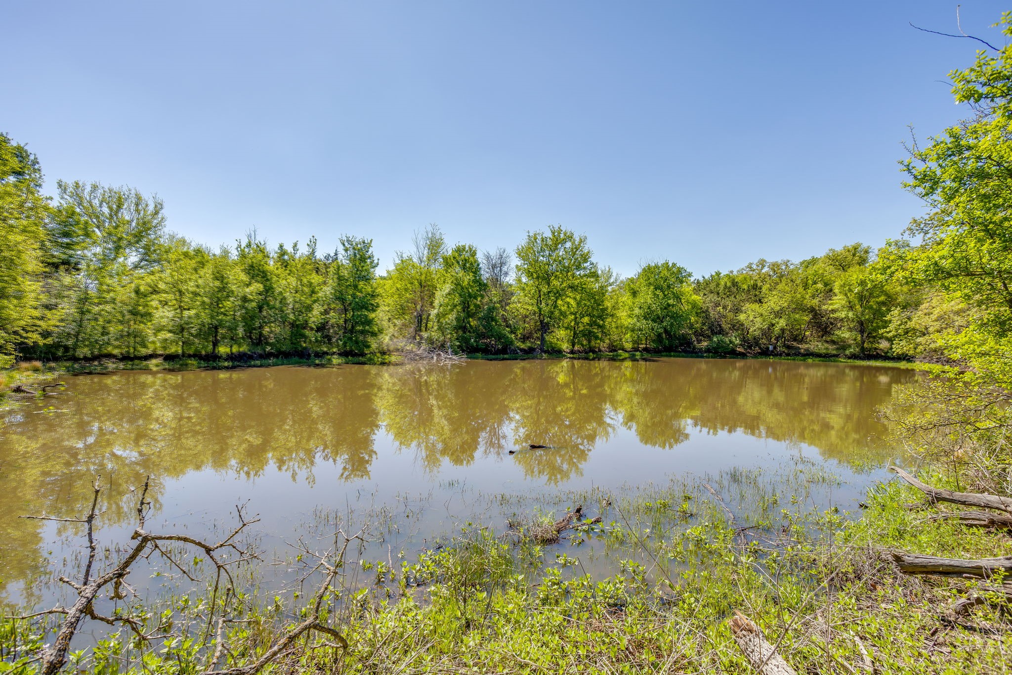 Tbd Teague Road Jacksboro TX 76458