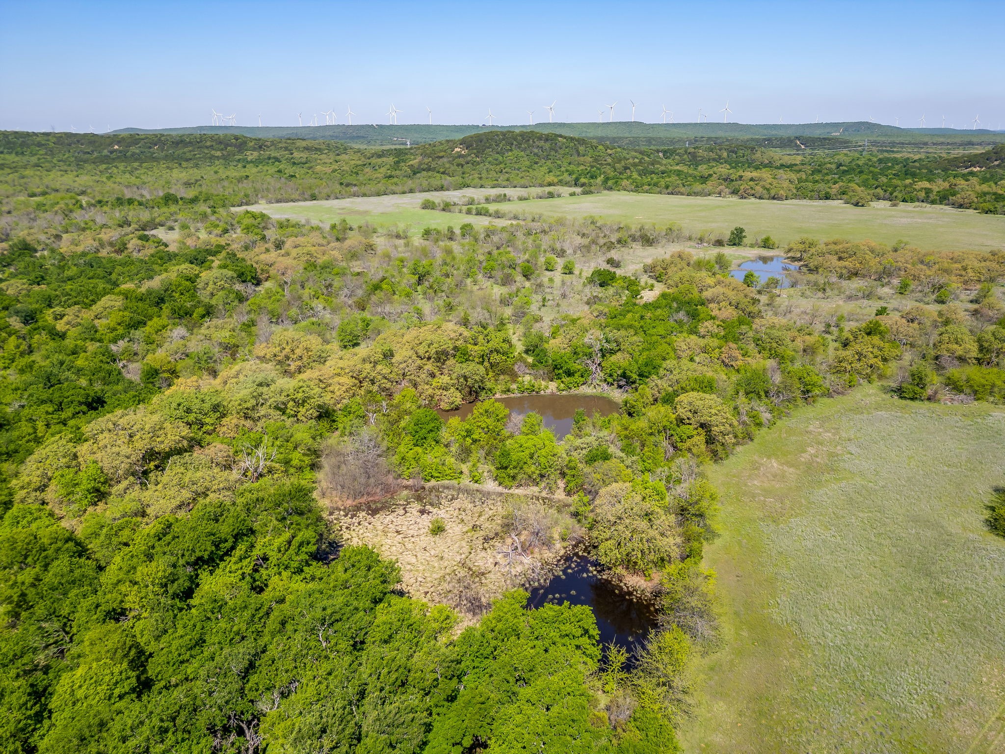 Tbd Teague Road Jacksboro TX 76458