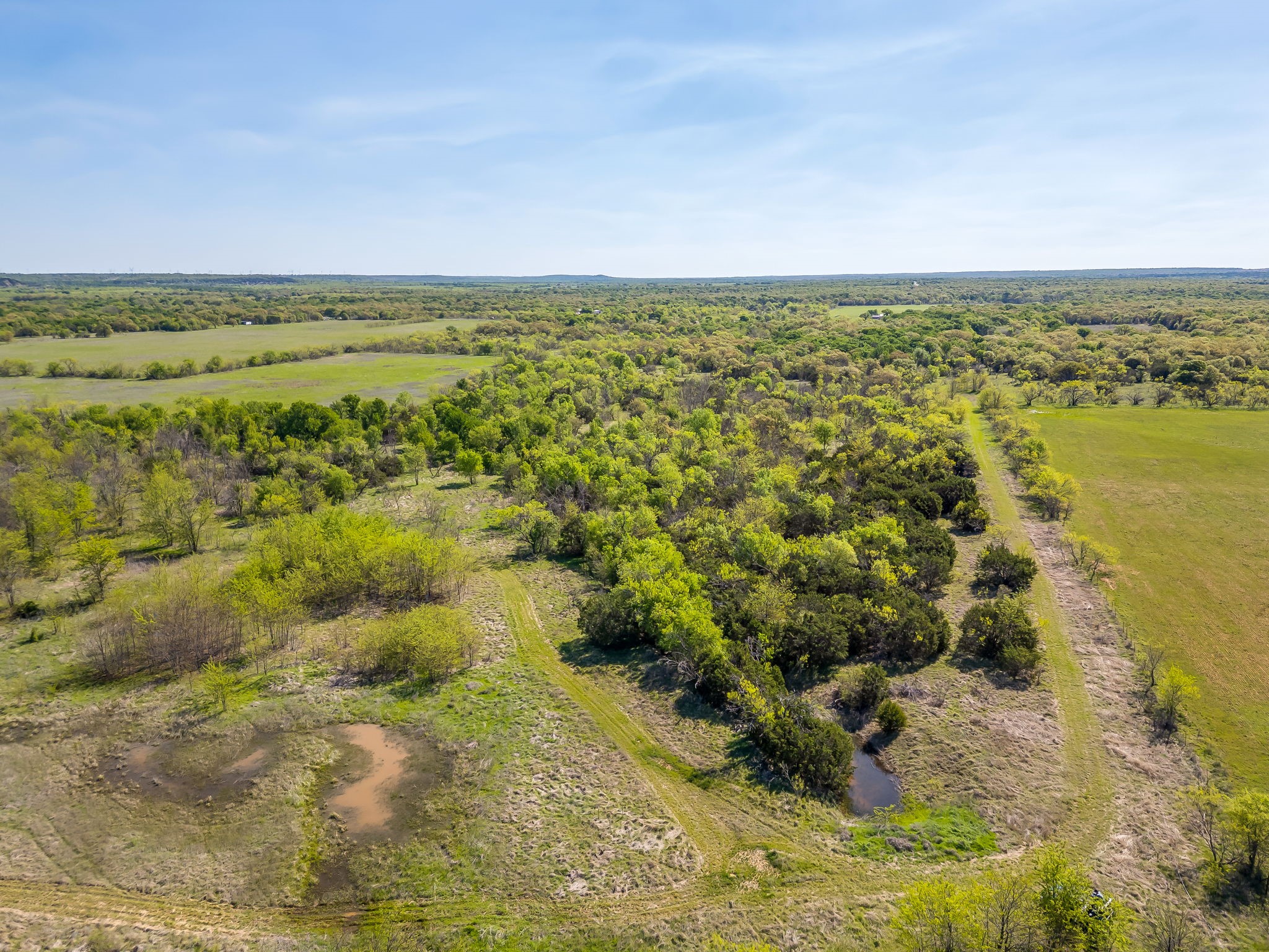 Tbd Teague Road Jacksboro TX 76458