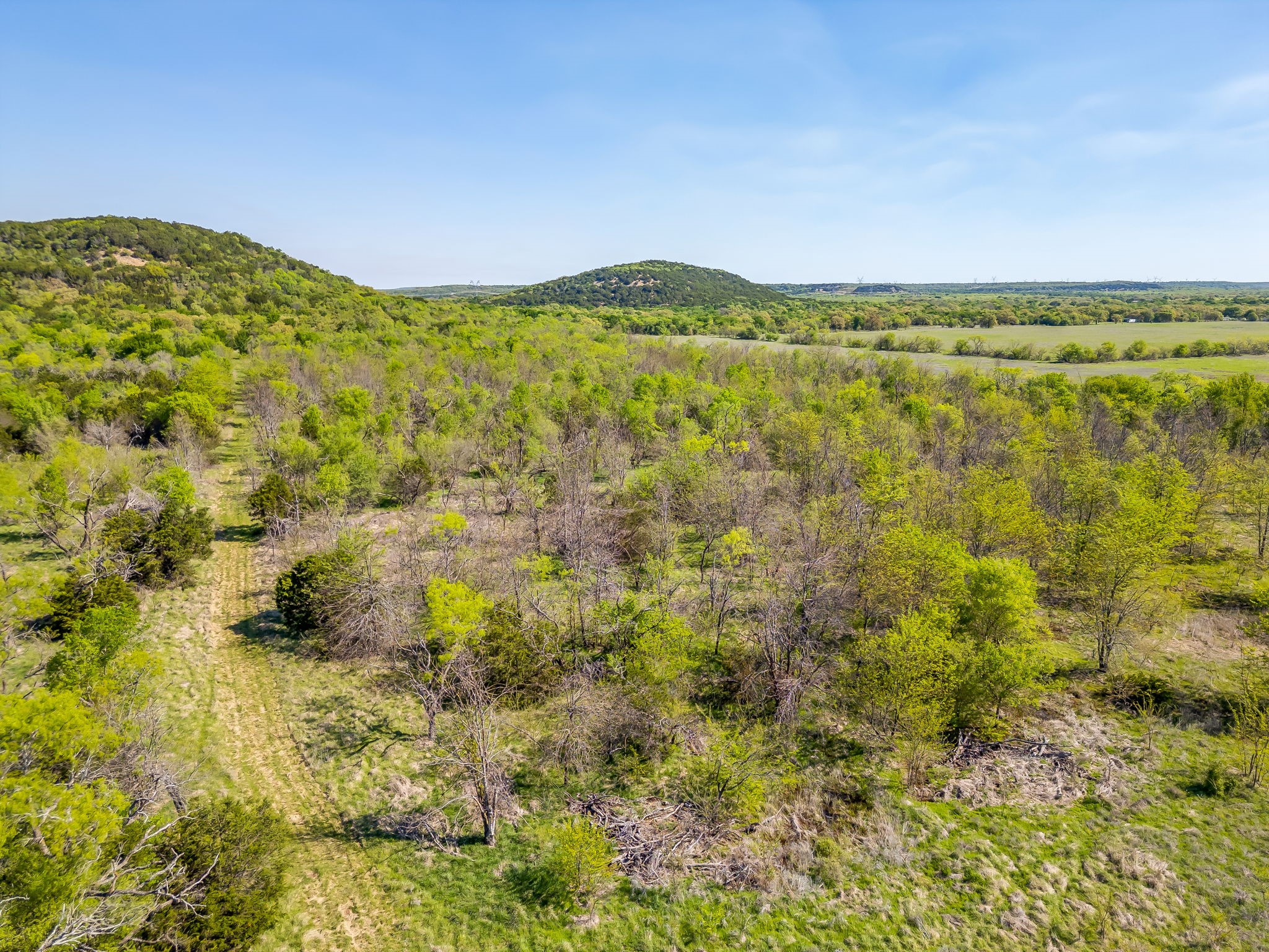 Tbd Teague Road Jacksboro TX 76458