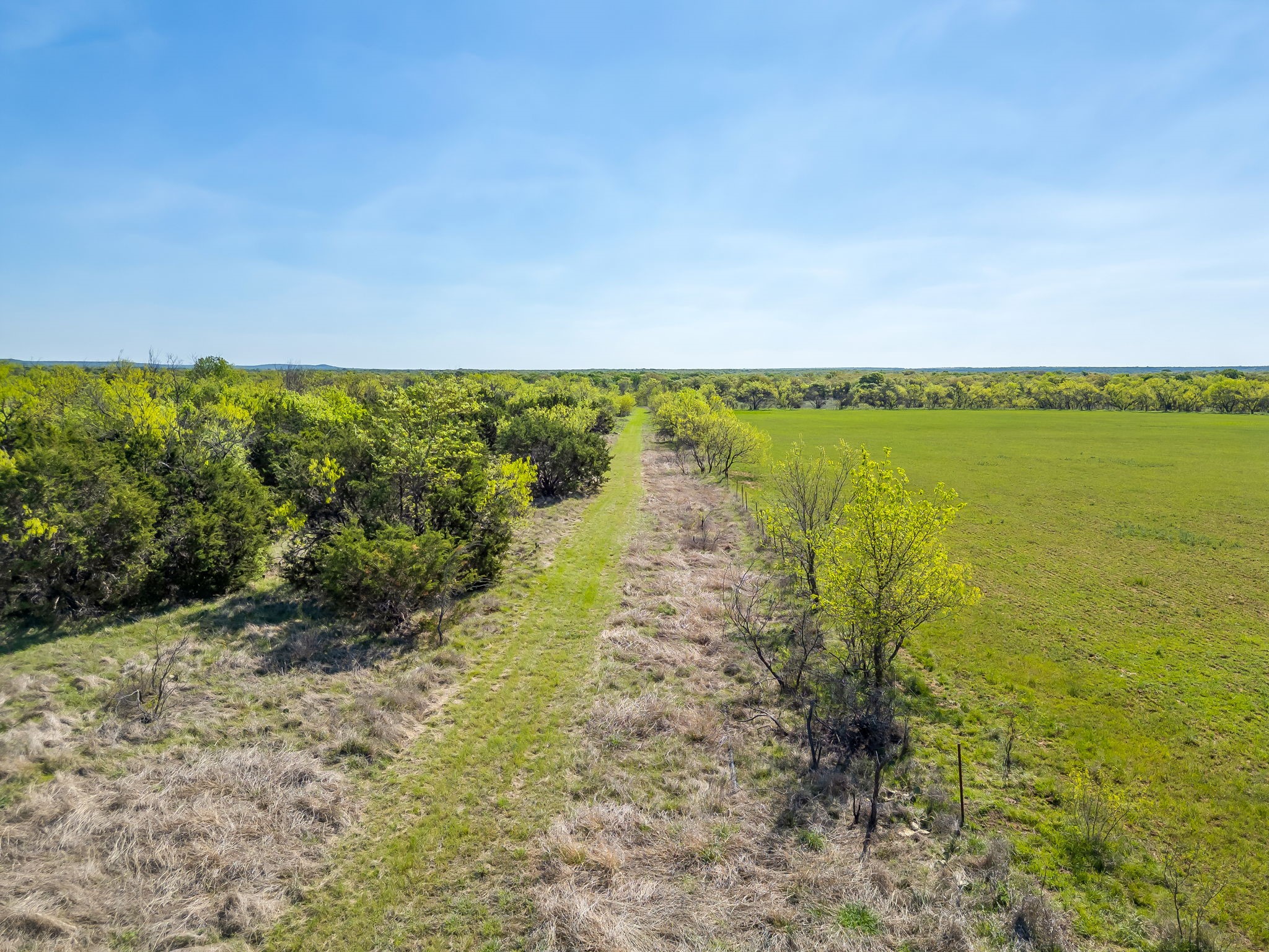 Tbd Teague Road Jacksboro TX 76458