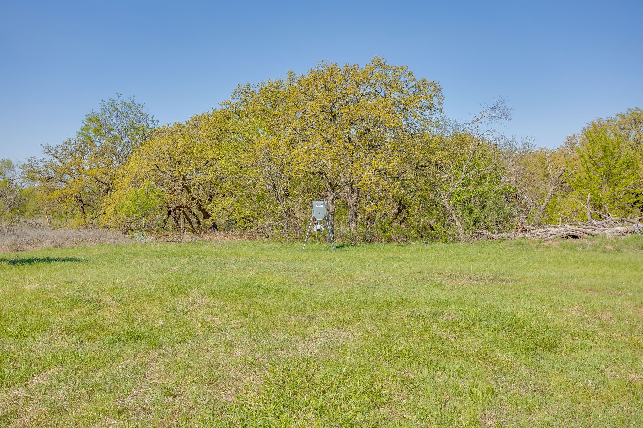 Tbd Teague Road Jacksboro TX 76458