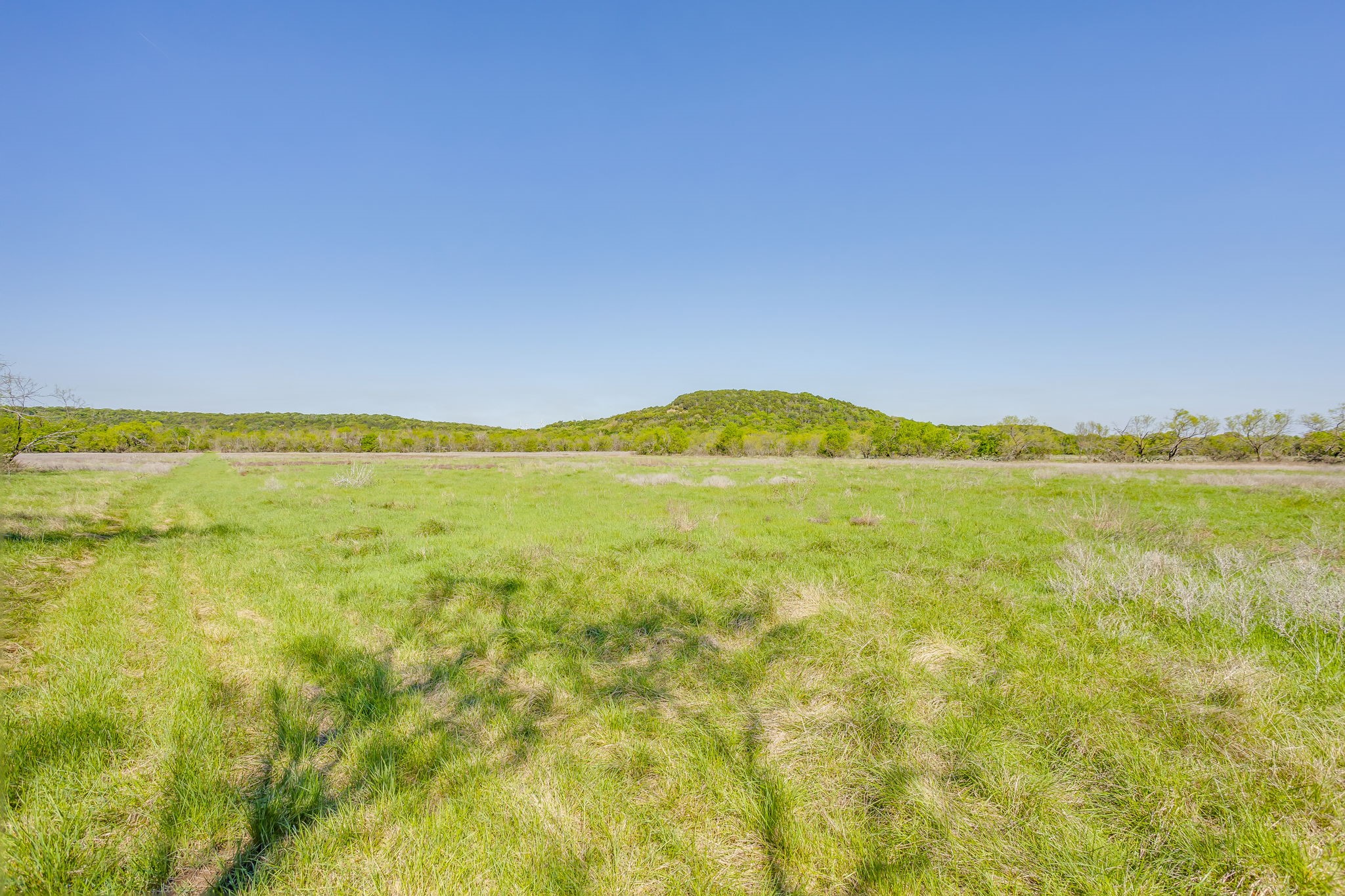 Tbd Teague Road Jacksboro TX 76458