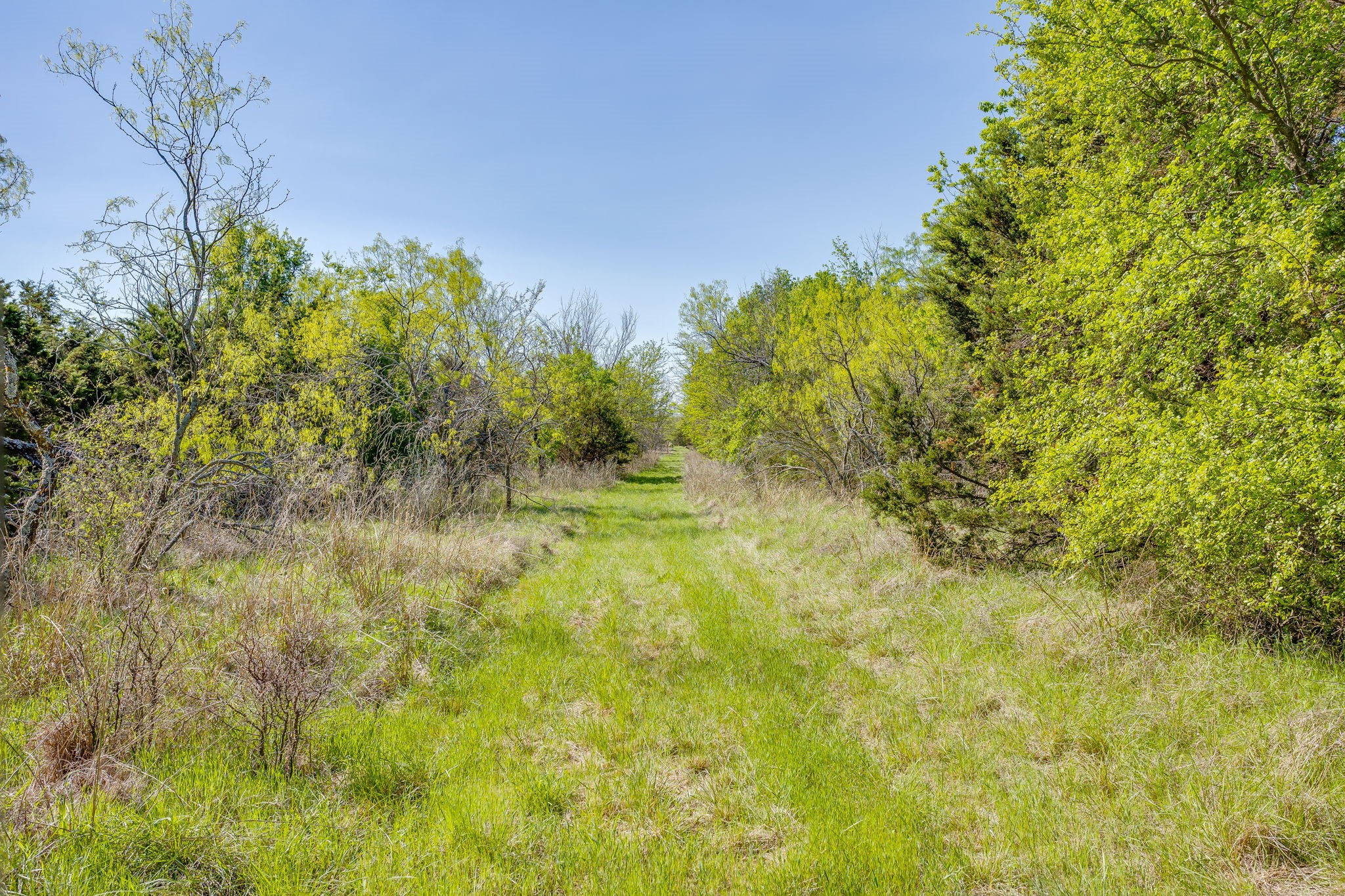 Tbd Teague Road Jacksboro TX 76458