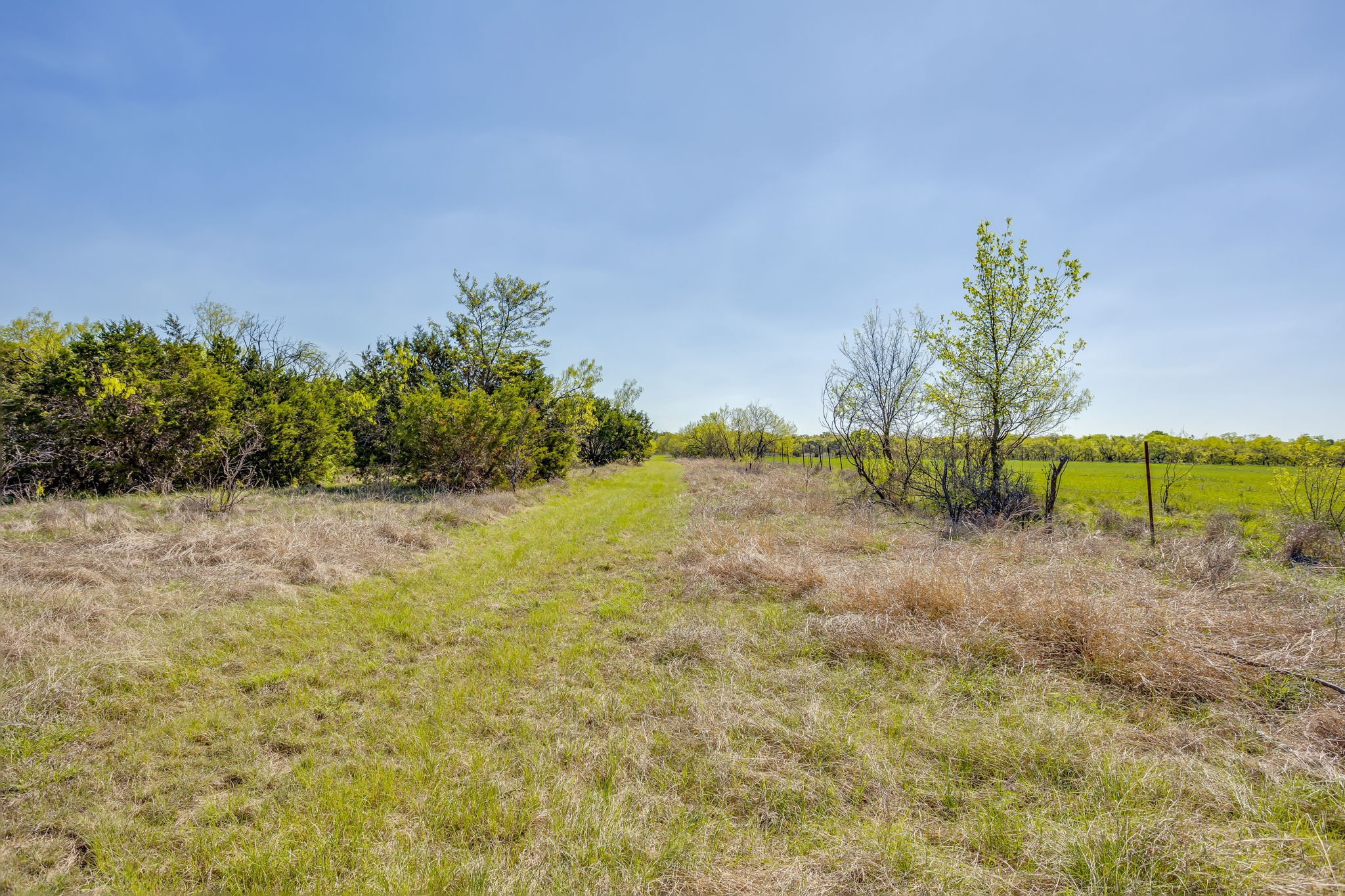 Tbd Teague Road Jacksboro TX 76458