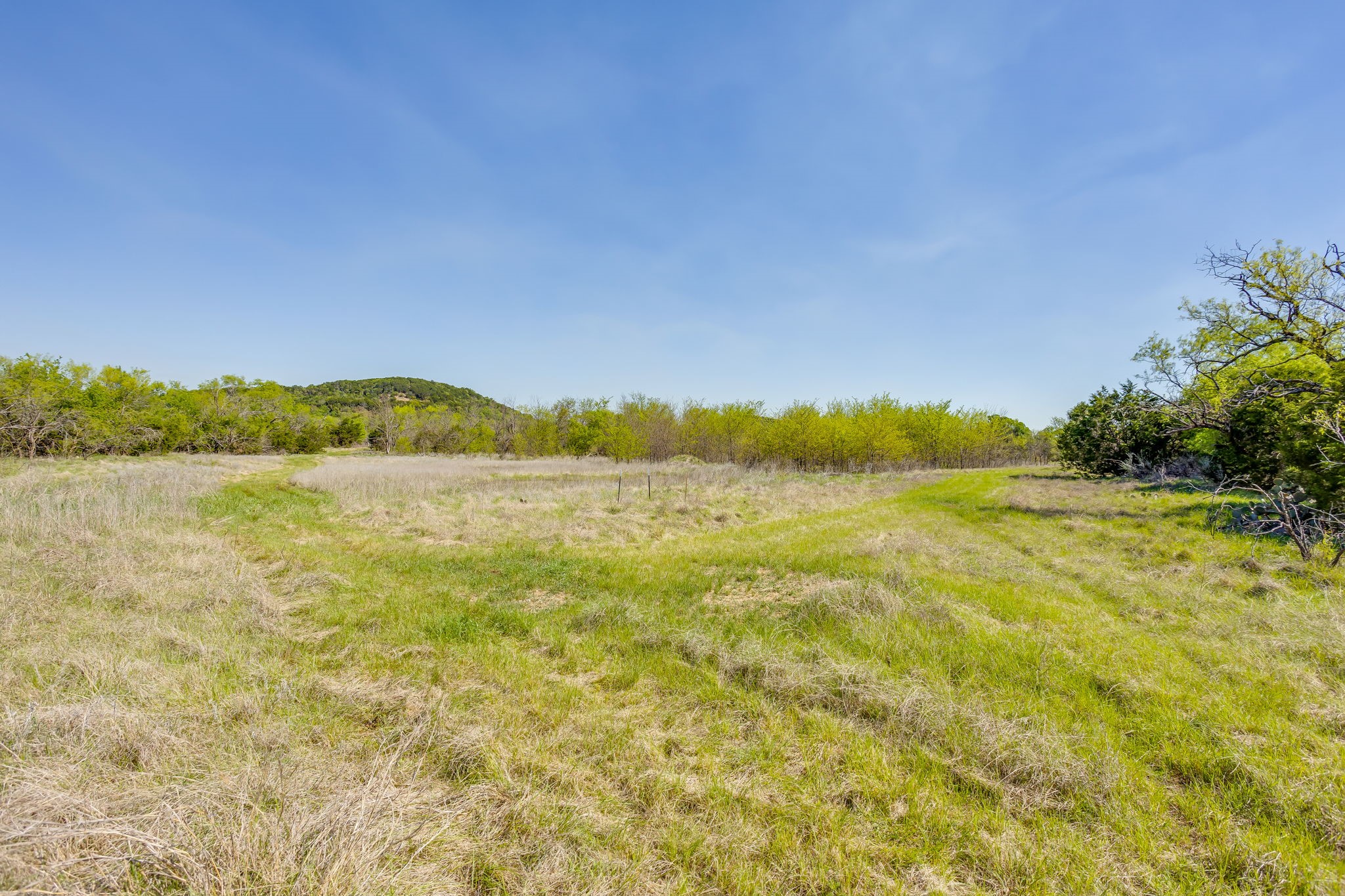 Tbd Teague Road Jacksboro TX 76458