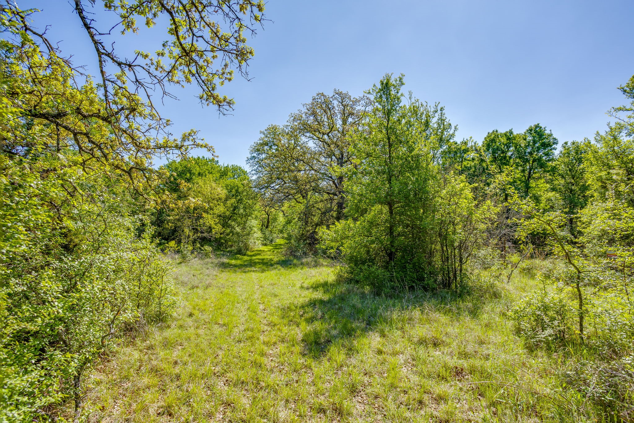 Tbd Teague Road Jacksboro TX 76458