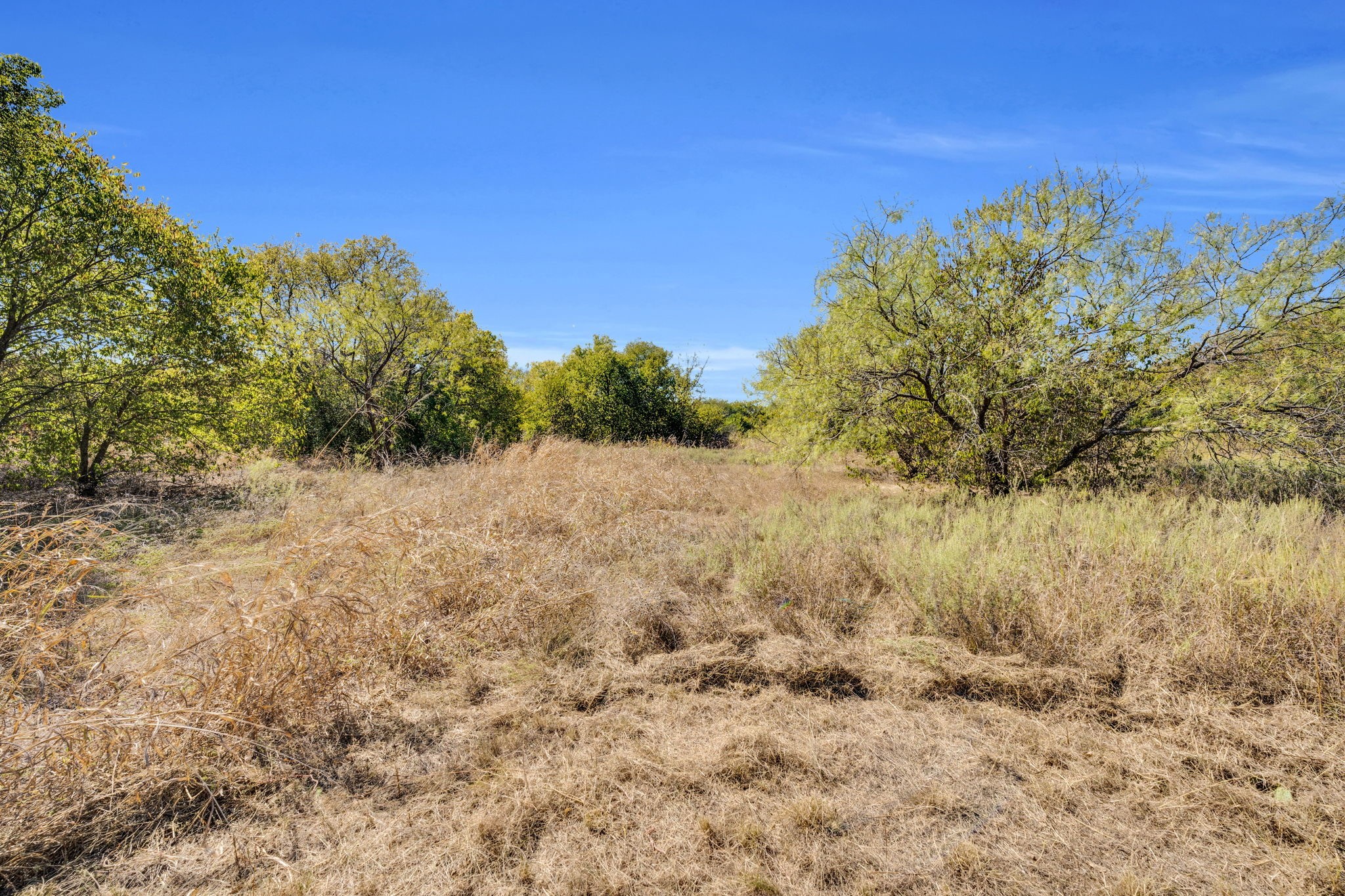 485 S Magnolia Street Crowley TX 76036