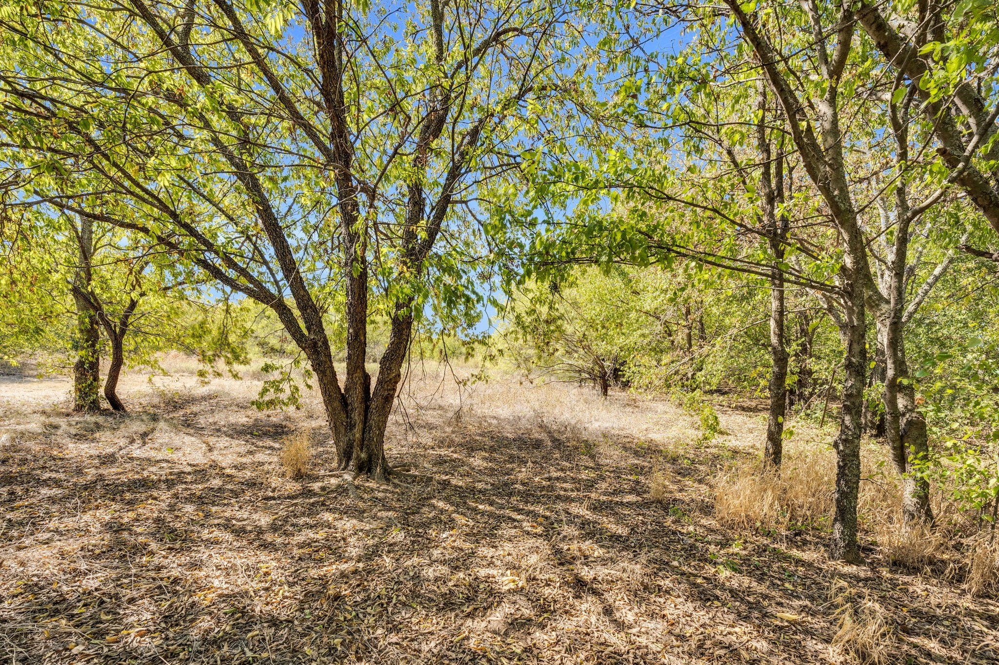 485 S Magnolia Street Crowley TX 76036