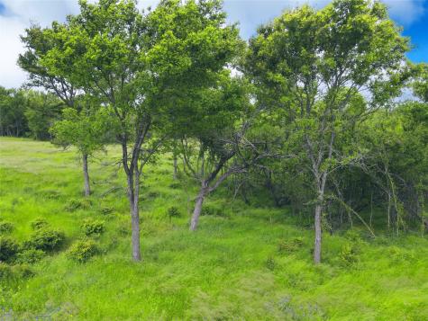 Lot 62 & Bs #20 Sunset Court Corsicana TX 75109