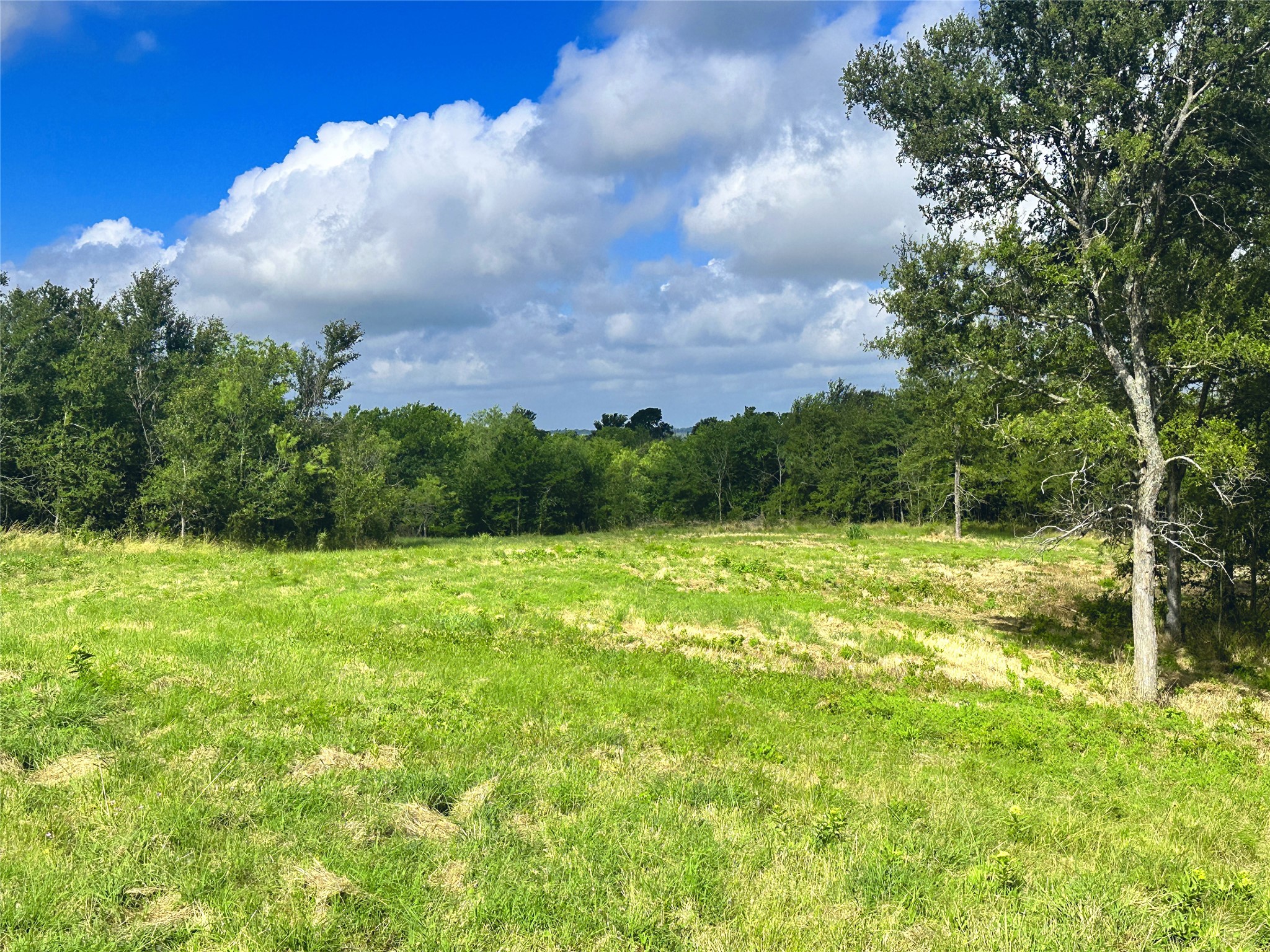 Lot 62 & Bs #20 Sunset Court Corsicana TX 75109