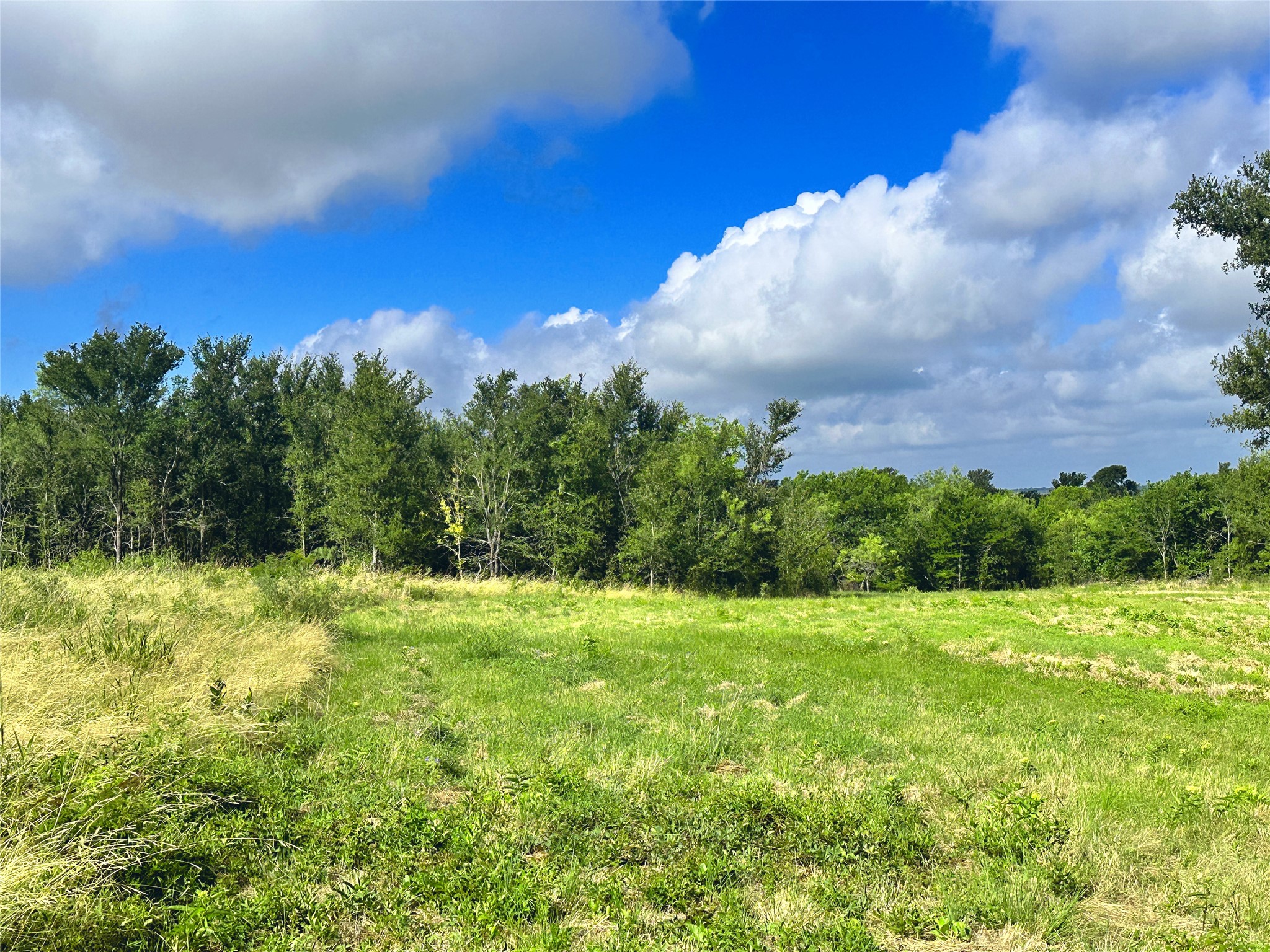 Lot 62 & Bs #20 Sunset Court Corsicana TX 75109