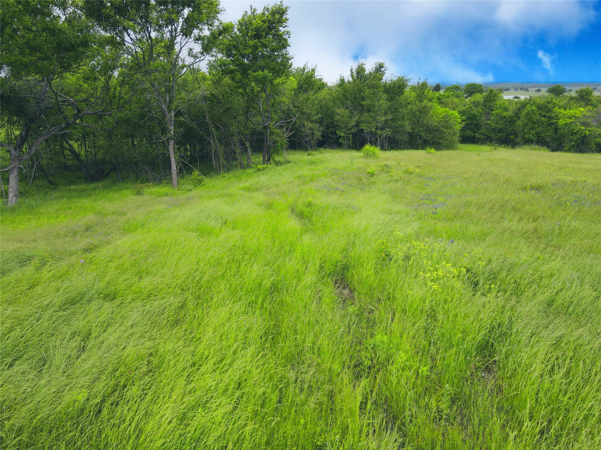 Lot 62 & Bs #20 Sunset Court Corsicana TX 75109