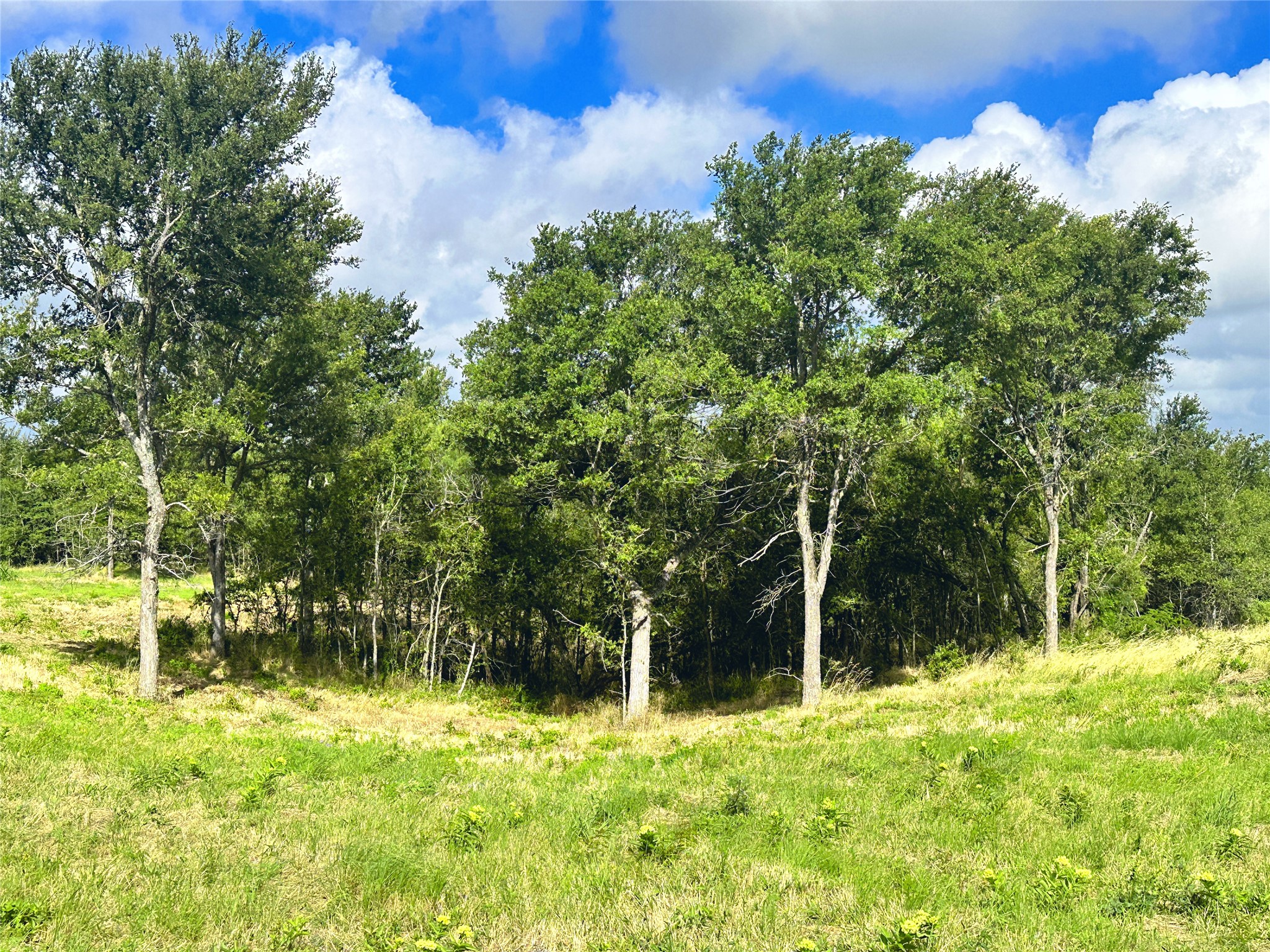 Lot 62 & Bs #20 Sunset Court Corsicana TX 75109