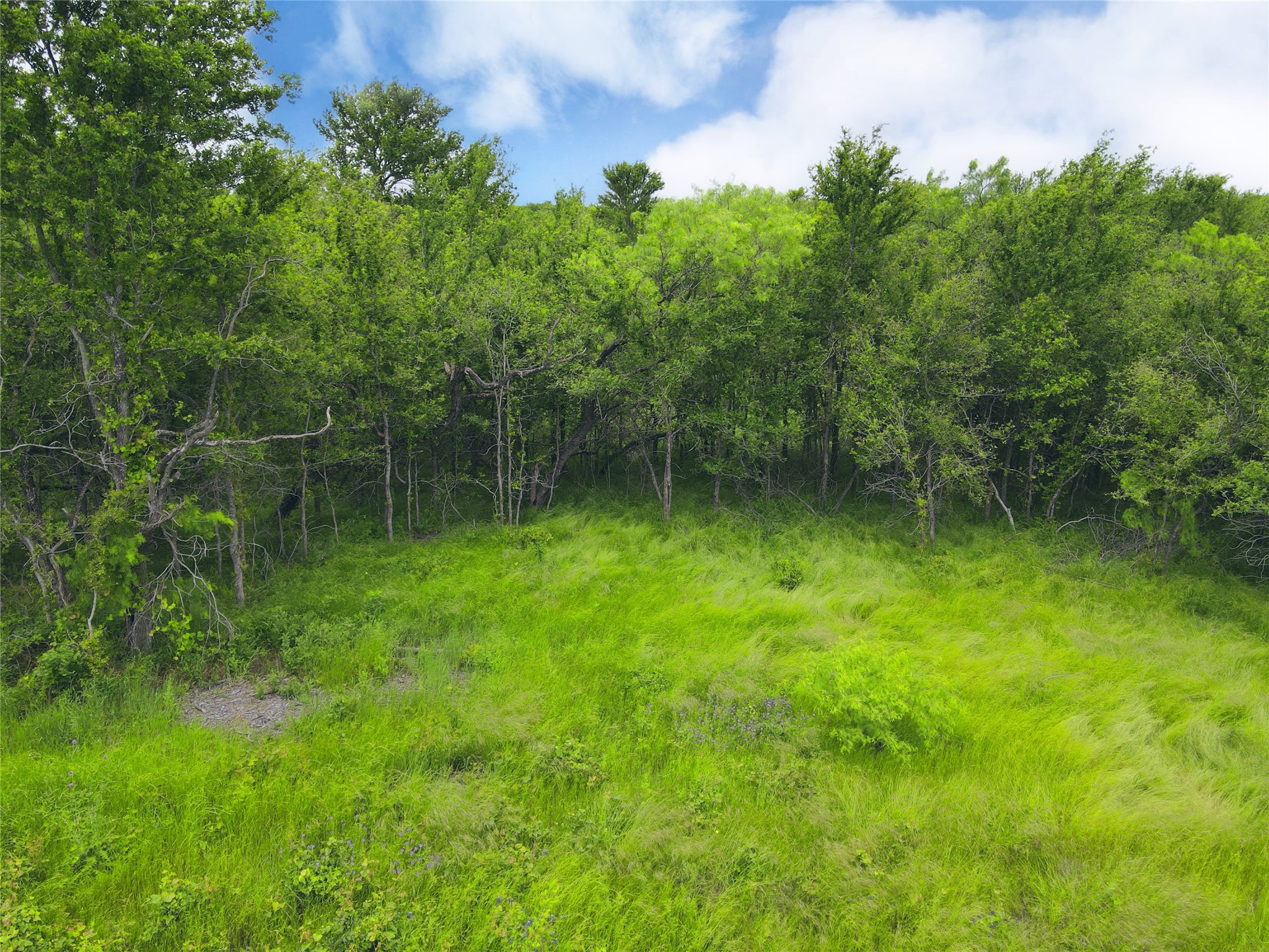 Lot 62 & Bs #20 Sunset Court Corsicana TX 75109