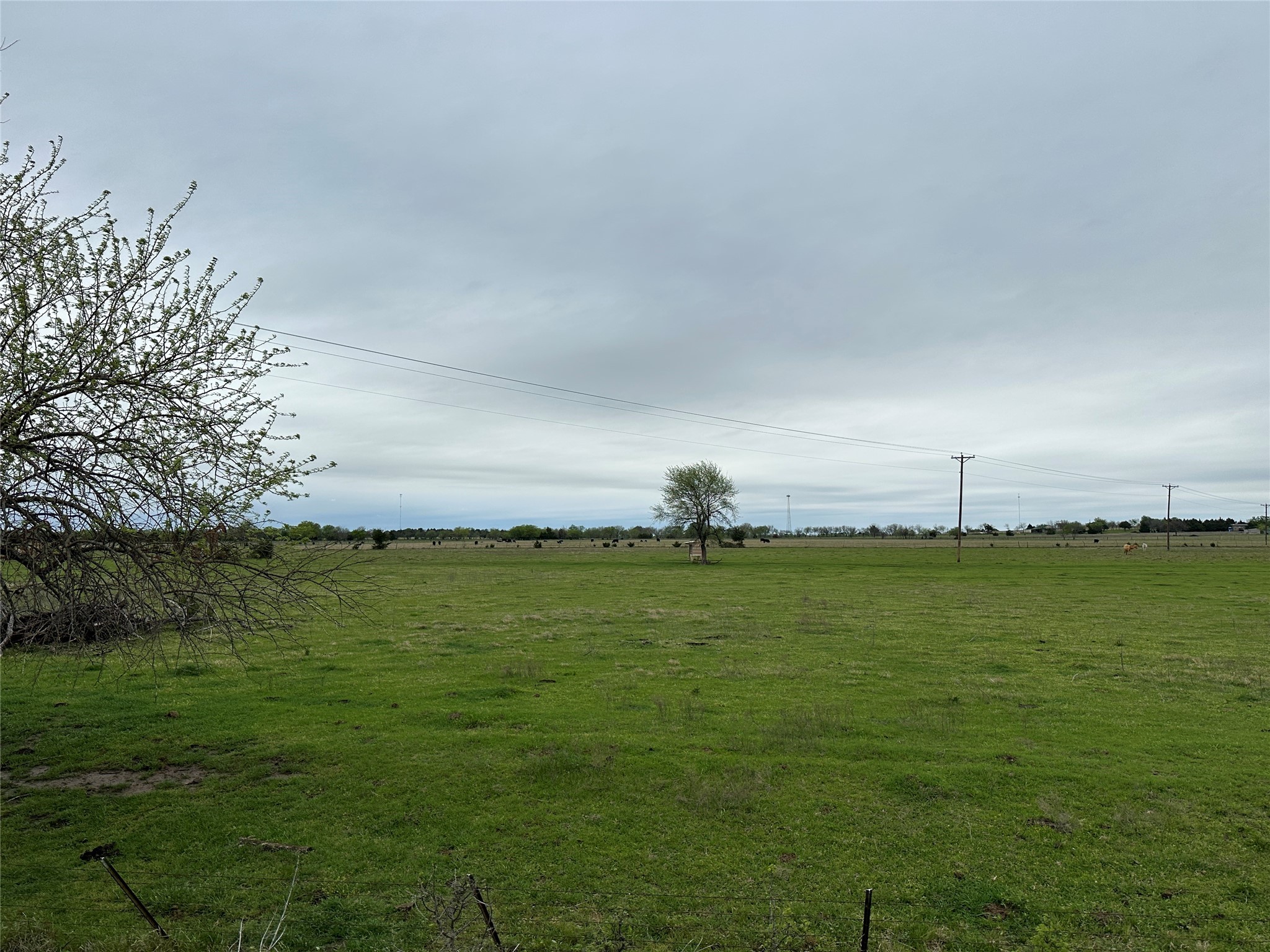 000 Stiles Road Whitesboro TX 76273